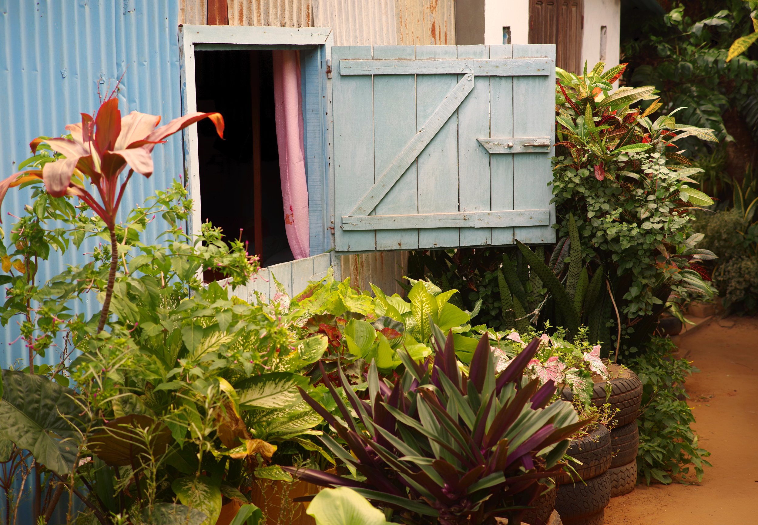 Blue Hatch A wooden home makes a perfect dwelling for anyone fond of the sea and the smells of an aged garden.