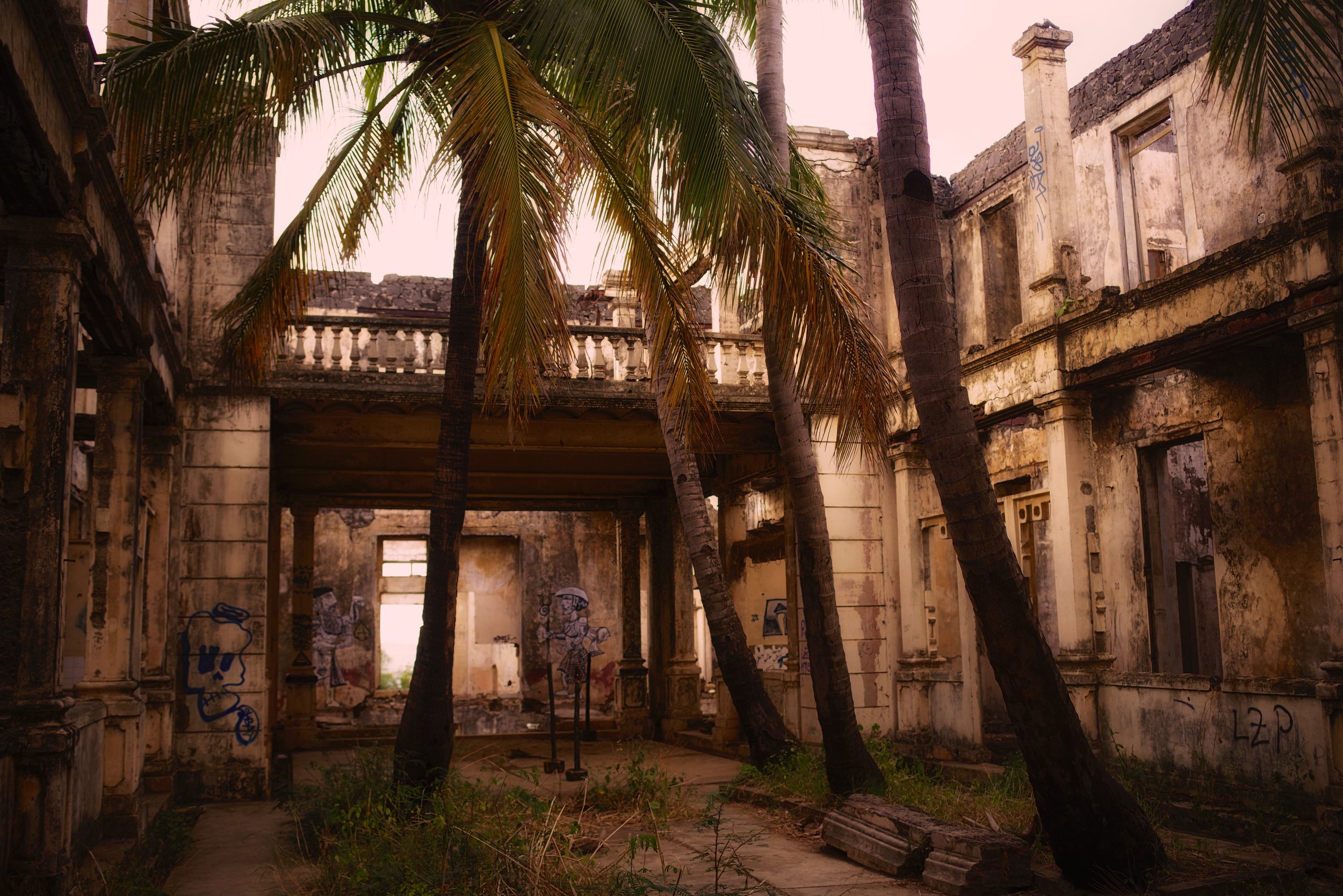 Palm Courtyard Palm trees and tropical plants spring from the earth in the ruins of this building in Diego Suarez. The ceiling had long caved in and the walls were just about balancing in their upright stance.