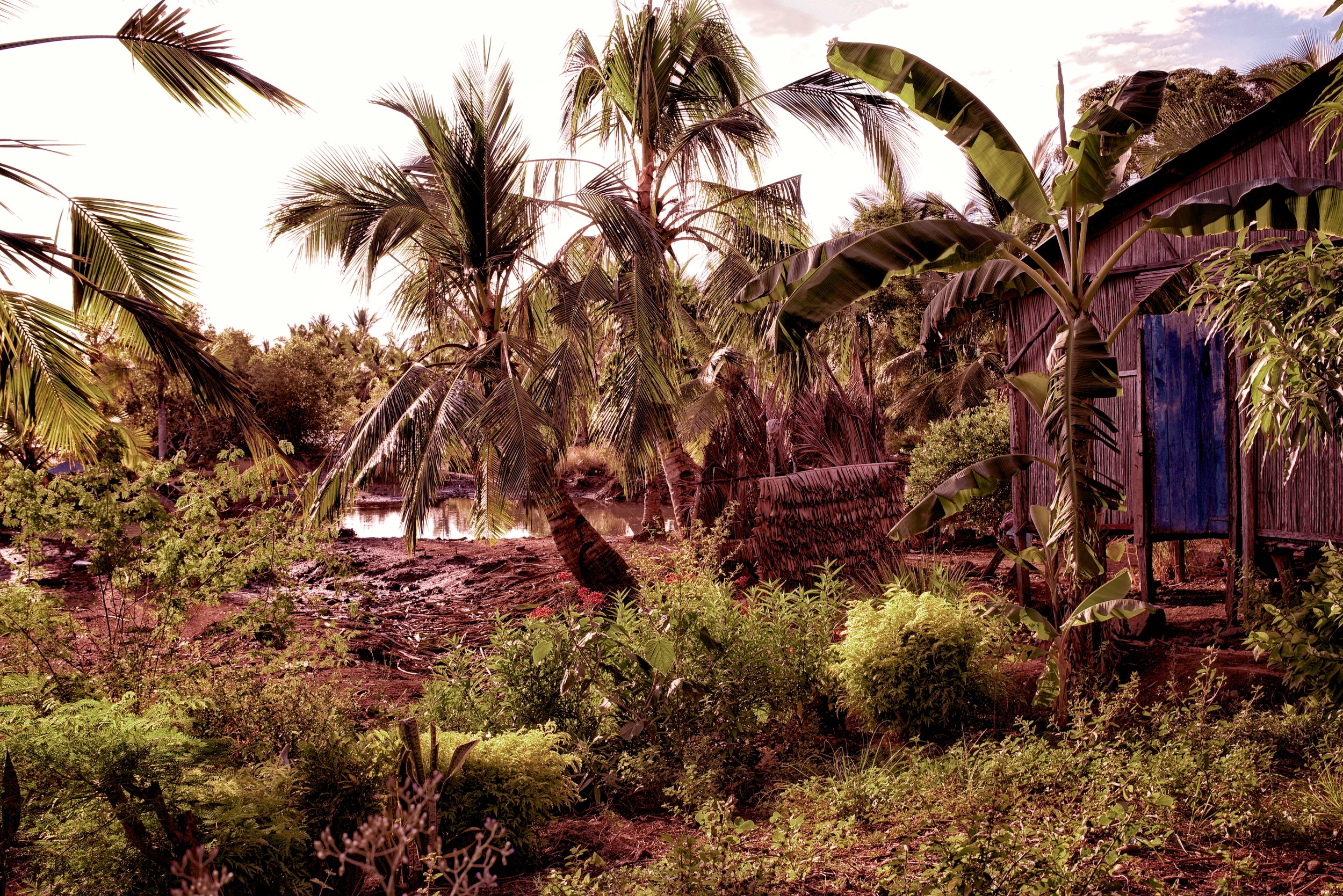 Coastal Outstation A Rubber Plantation stands as a colonial reminder on the shores of Nosy Be island. Wooden cabins and young palm trees create an agreeably haphazard backdrop to coastal life.