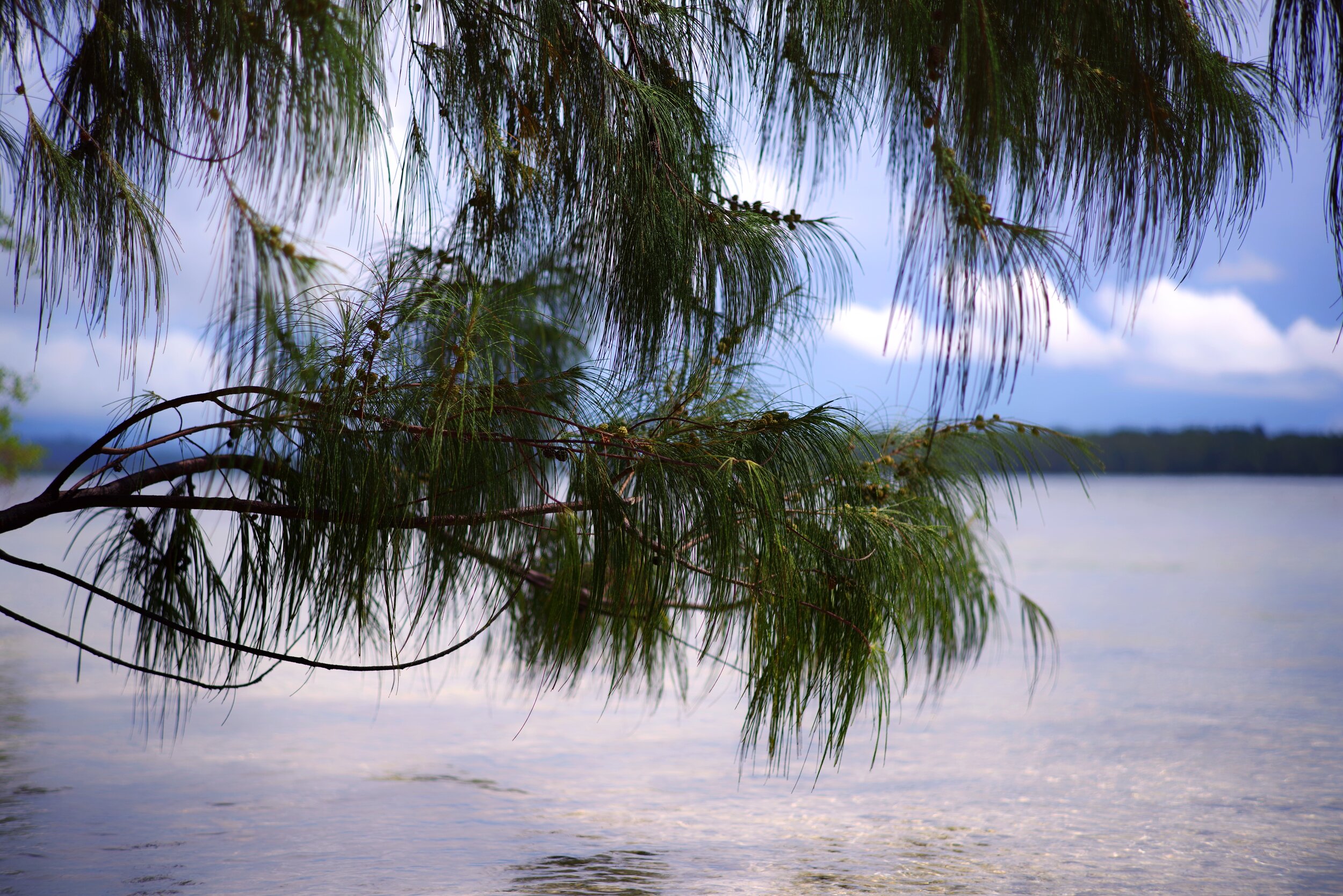 IMGP0873.jpg
