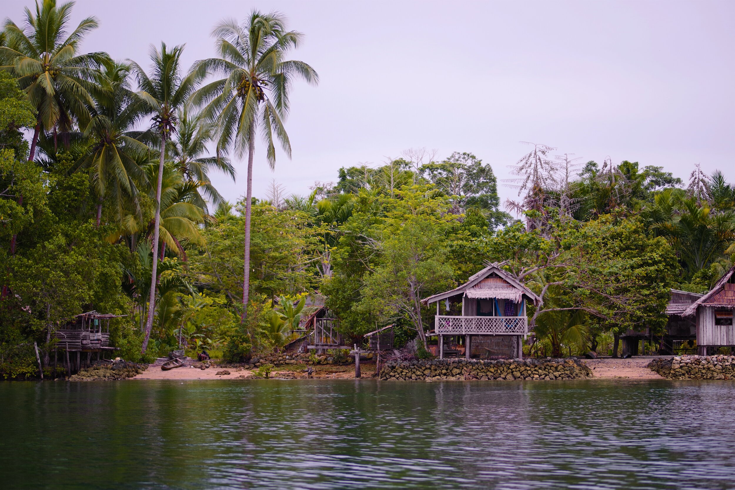 IMGP9289 (1).jpg