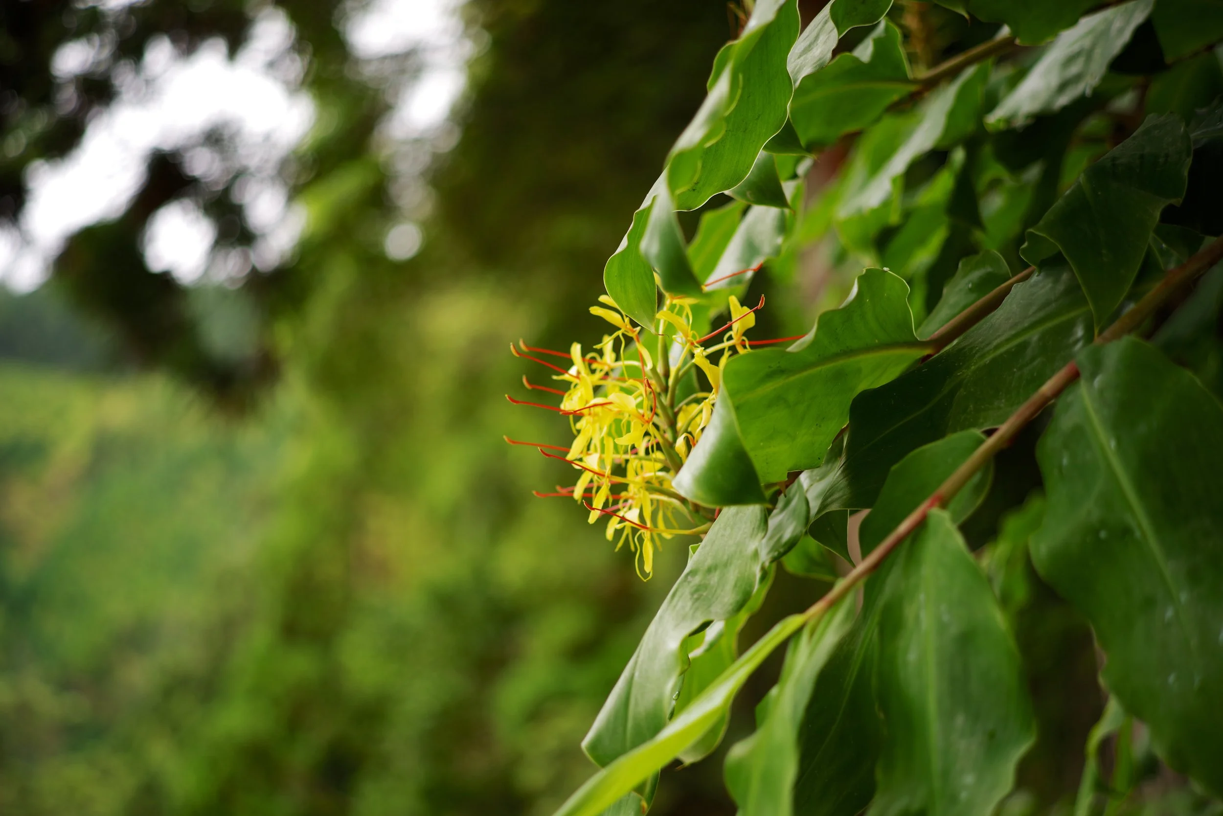 IMGP9746.jpg