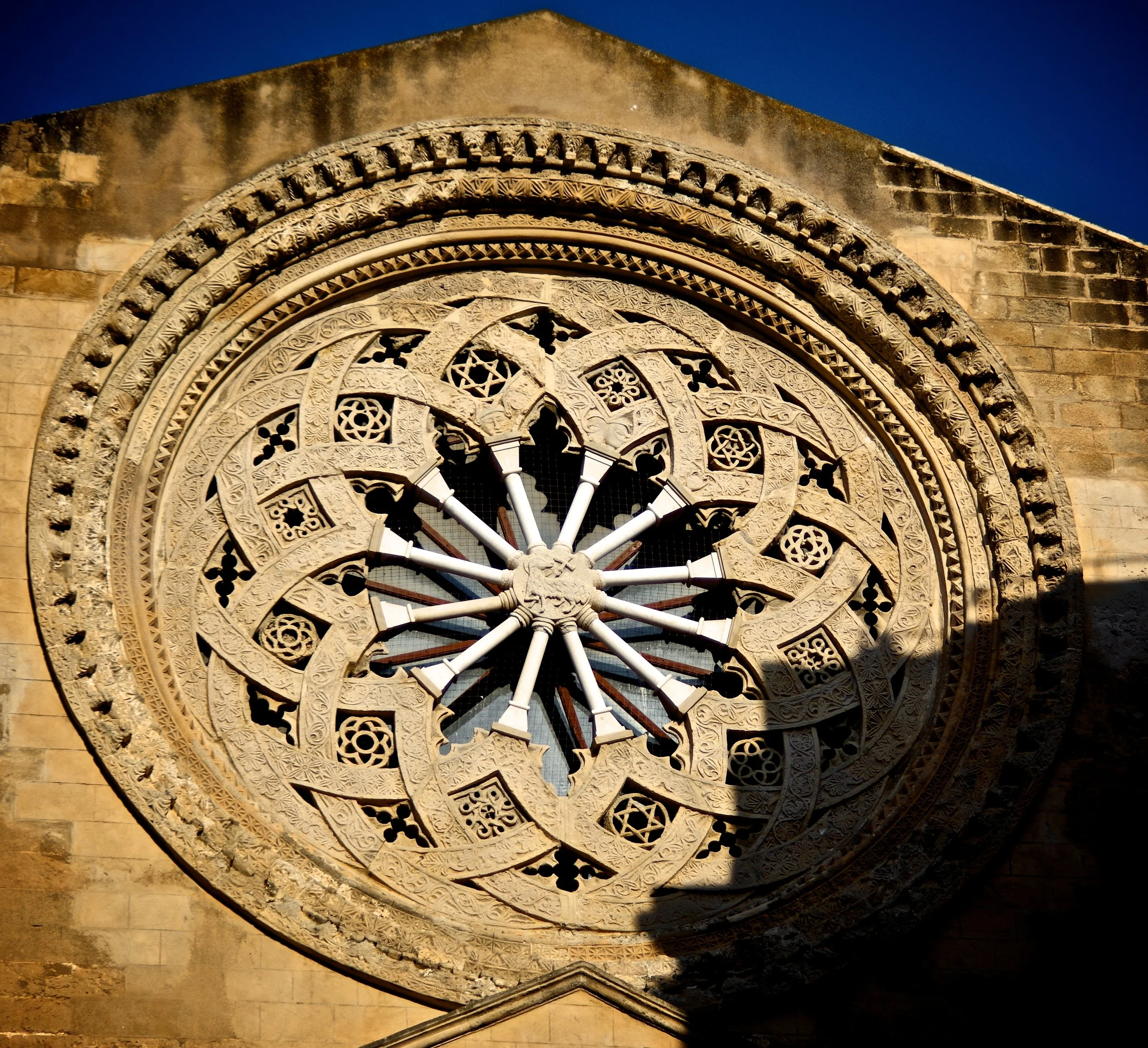 IMGP1567 - Version 2.jpg