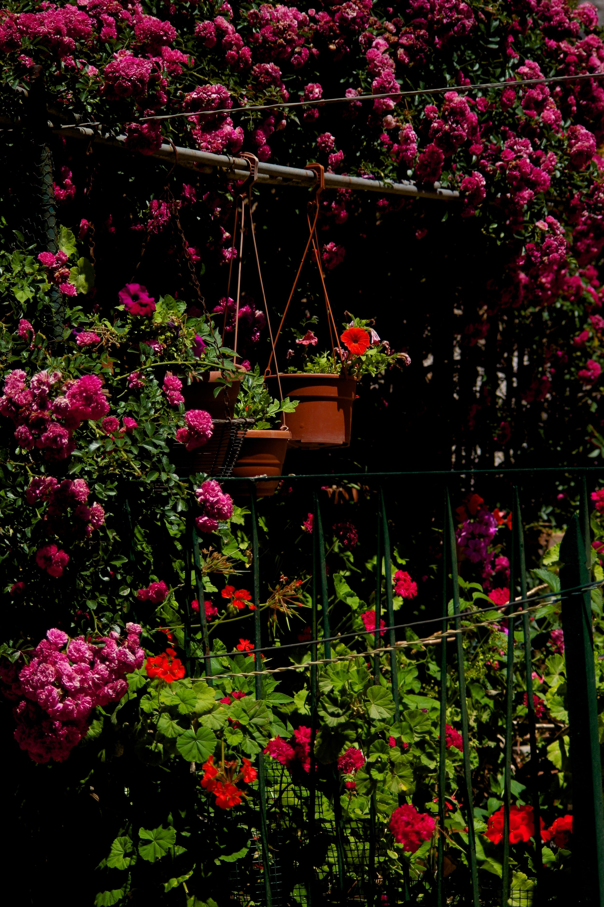IMGP1902 - Version 2.jpg