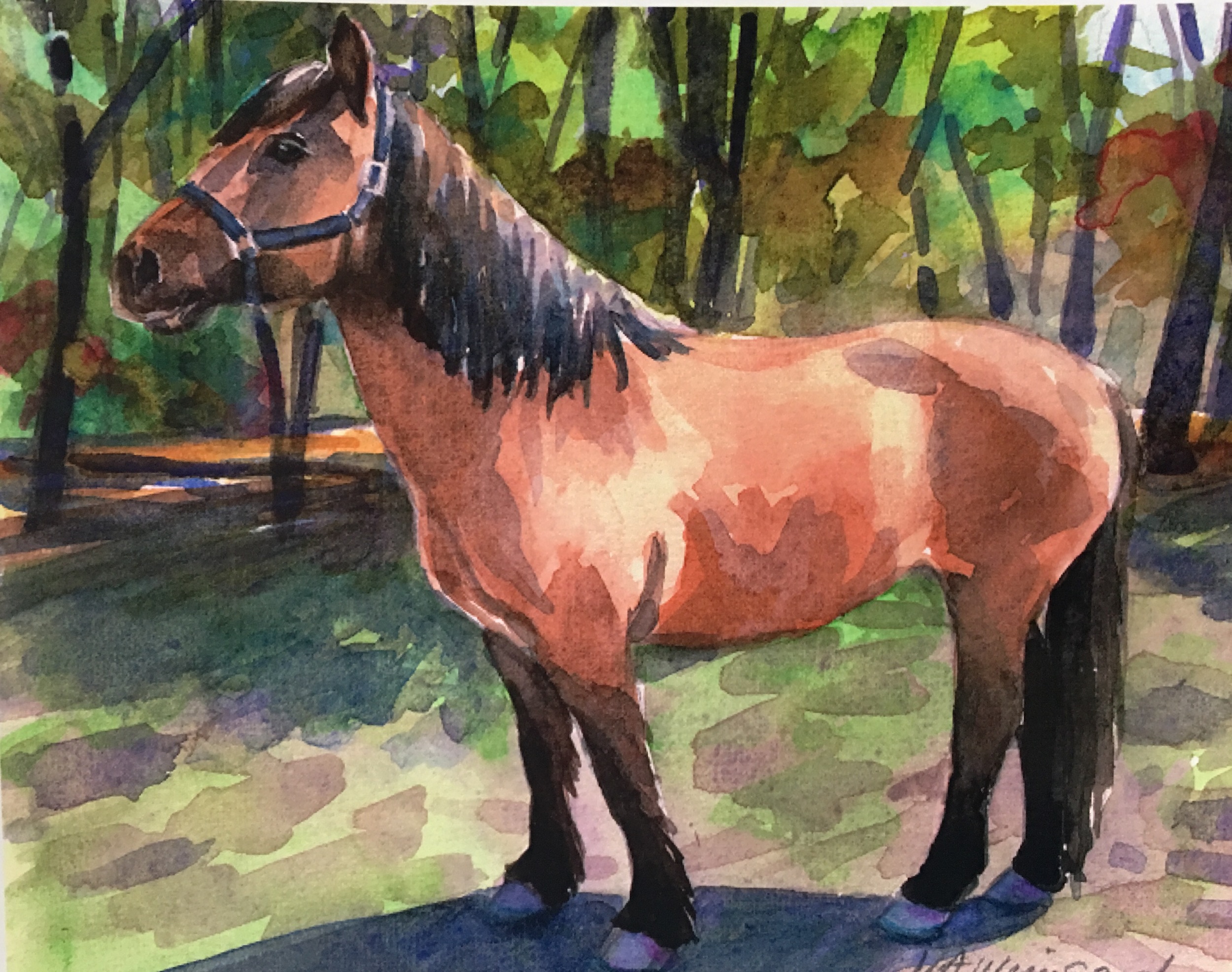 horse portrait 2.jpg