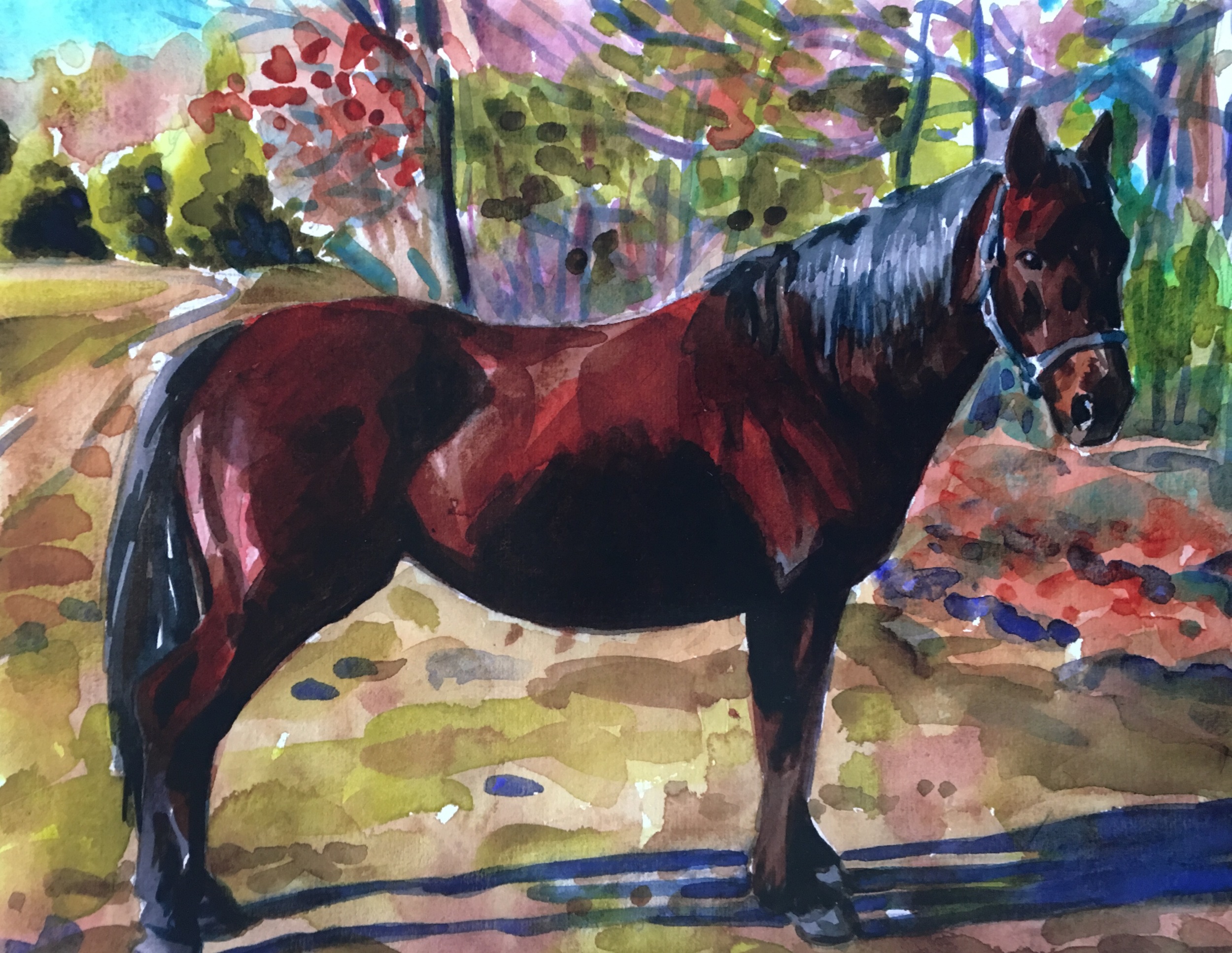 horse portrait 3.jpg