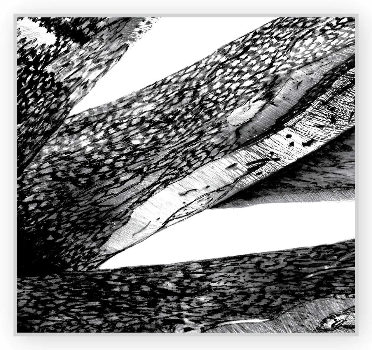 additional all paintings v1_tree trunk.jpg