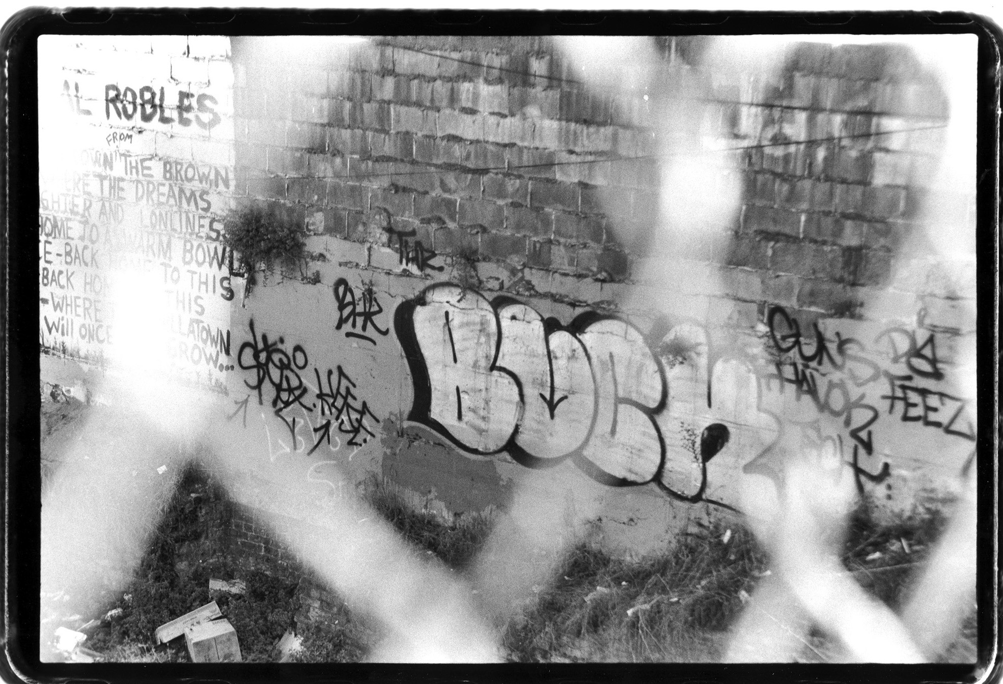 graffiti_thru_fence copy.jpg