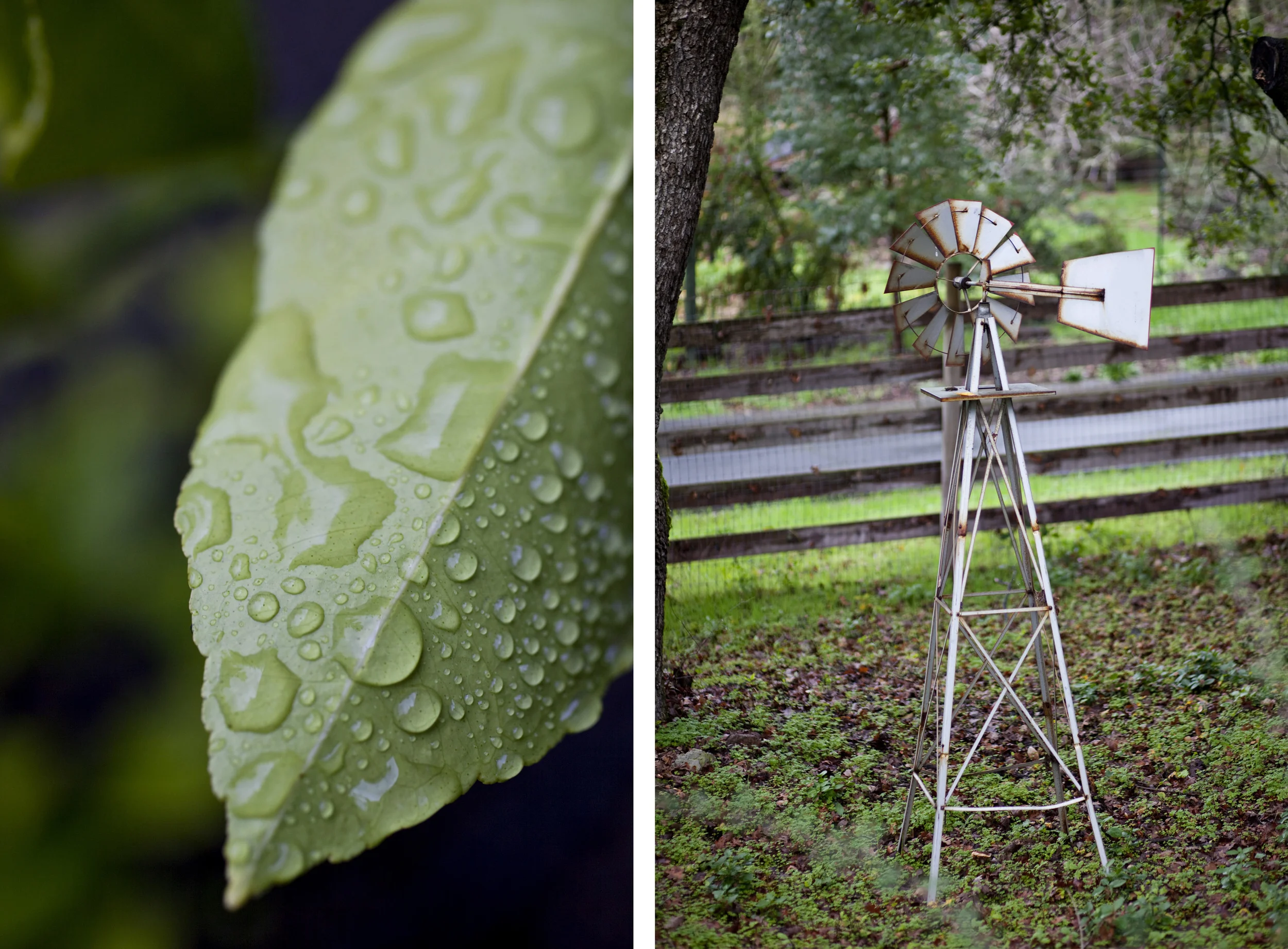 steffen_vert_rain_windmill.jpg