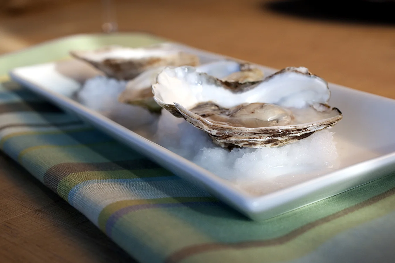 oysters_7444.jpg
