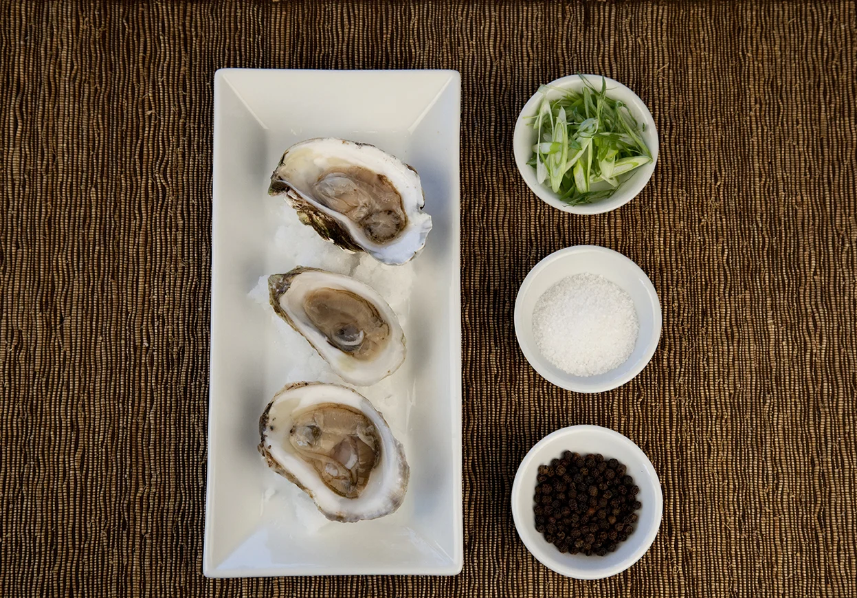 oysters_7299.jpg