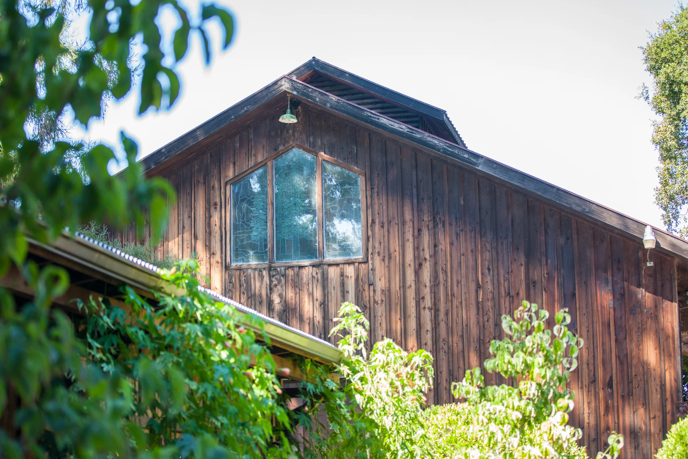 UM_Sequoia-Grove-property_IMG_9837_lo.jpg