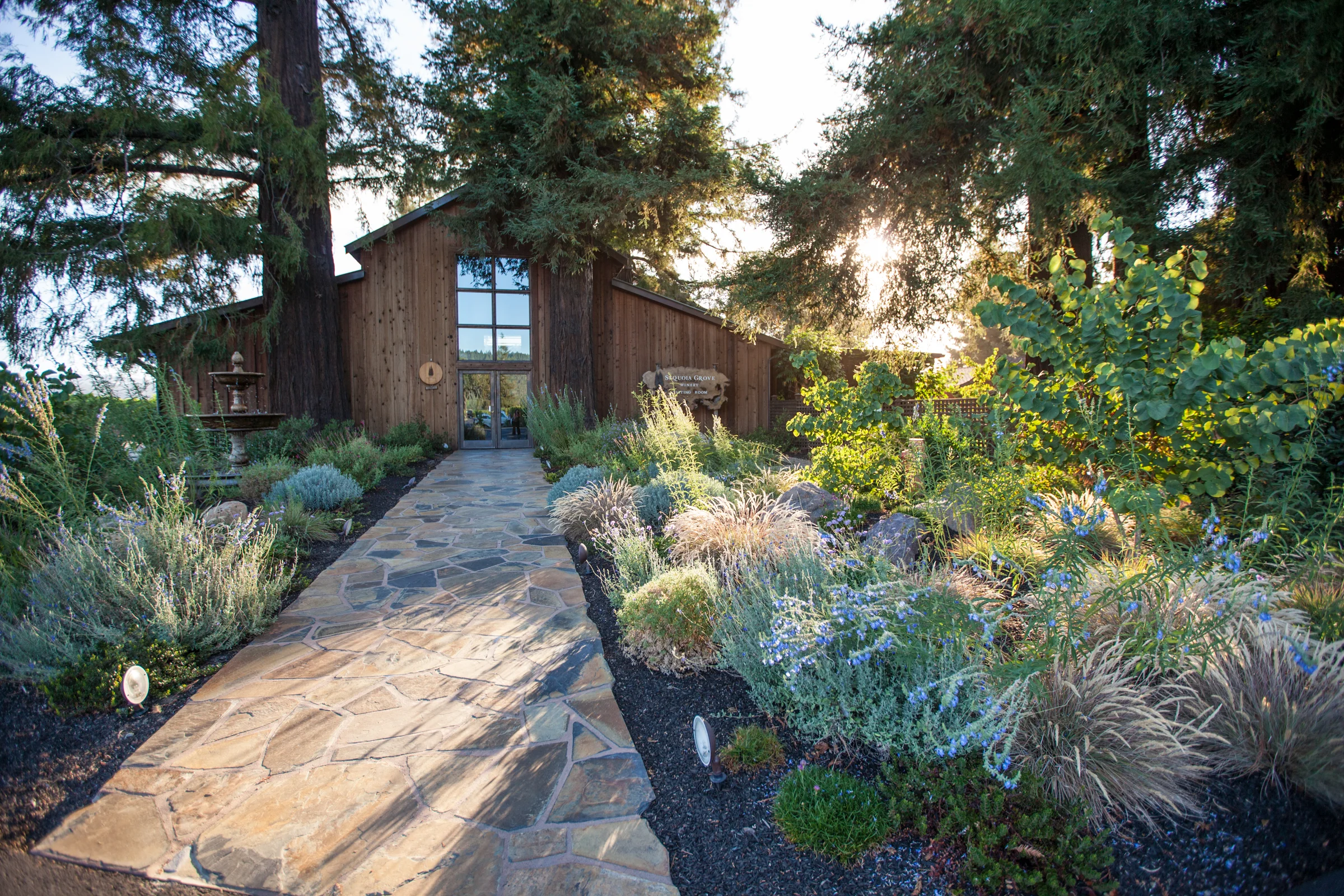 UM_Sequoia-Grove-property_IMG_9855_lo.jpg