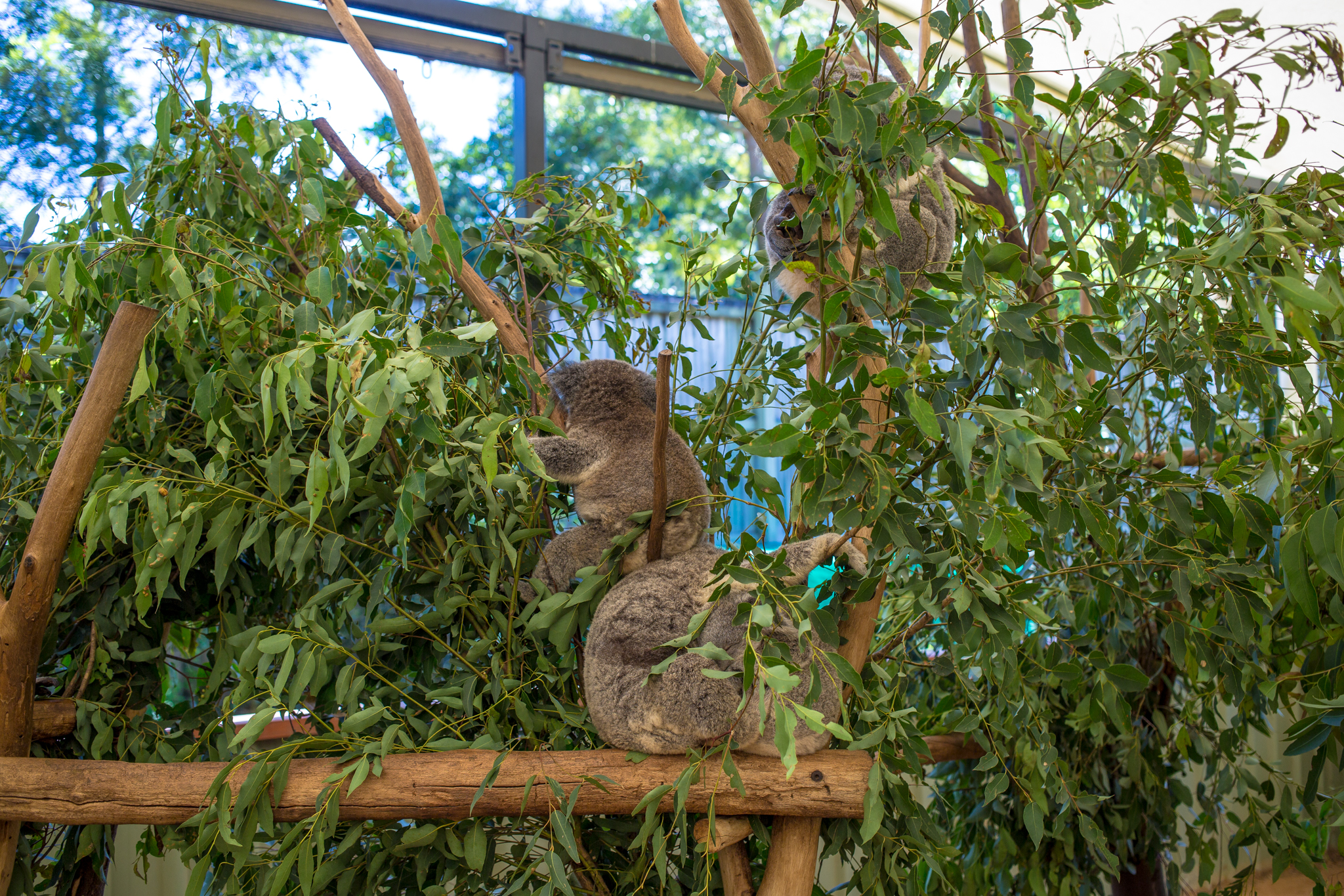 UntappedMedia-Aus2018-brisbane_AI9A4673_lo.jpg