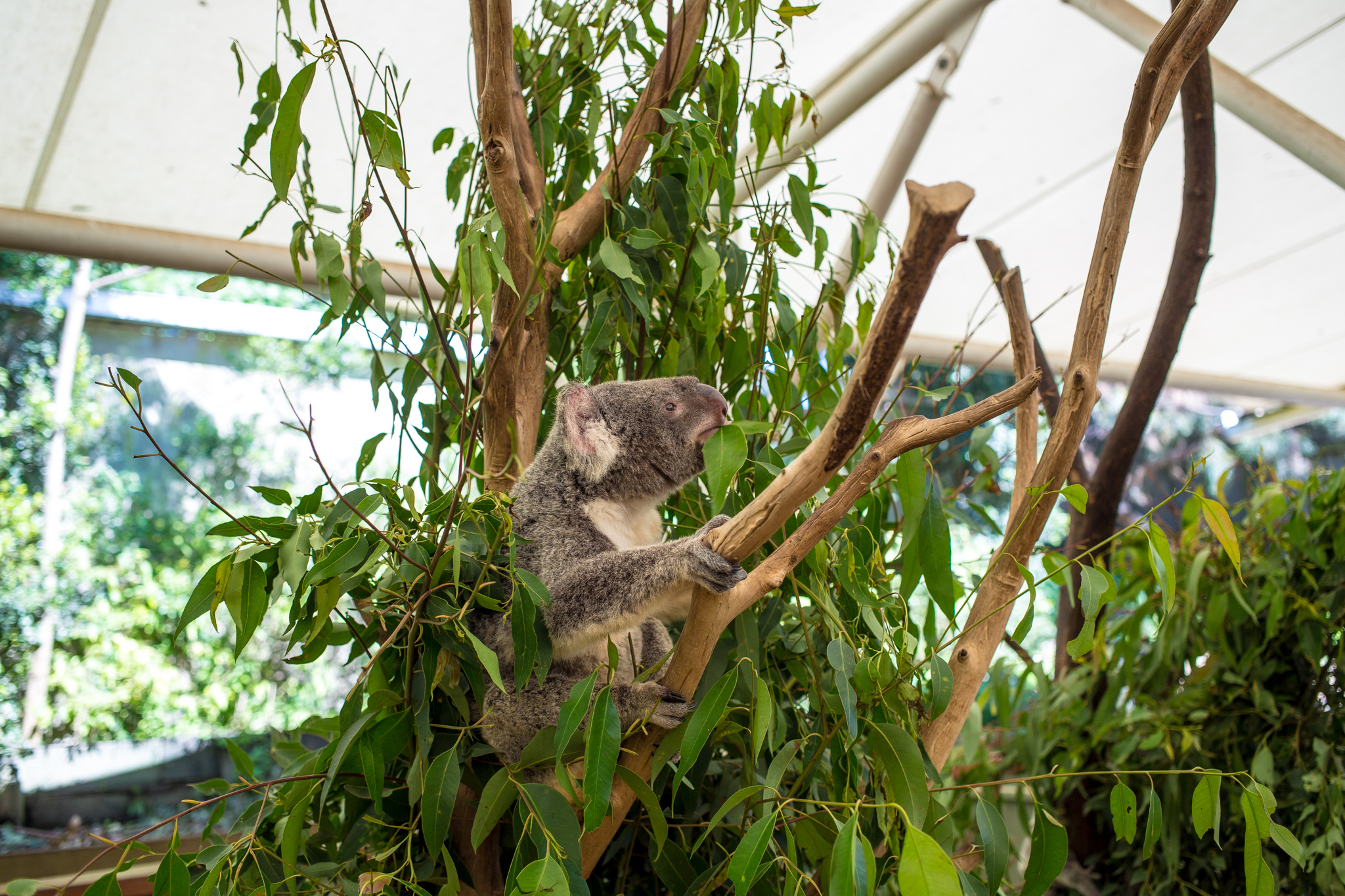 UntappedMedia-Aus2018-brisbane_AI9A4671_lo.jpg