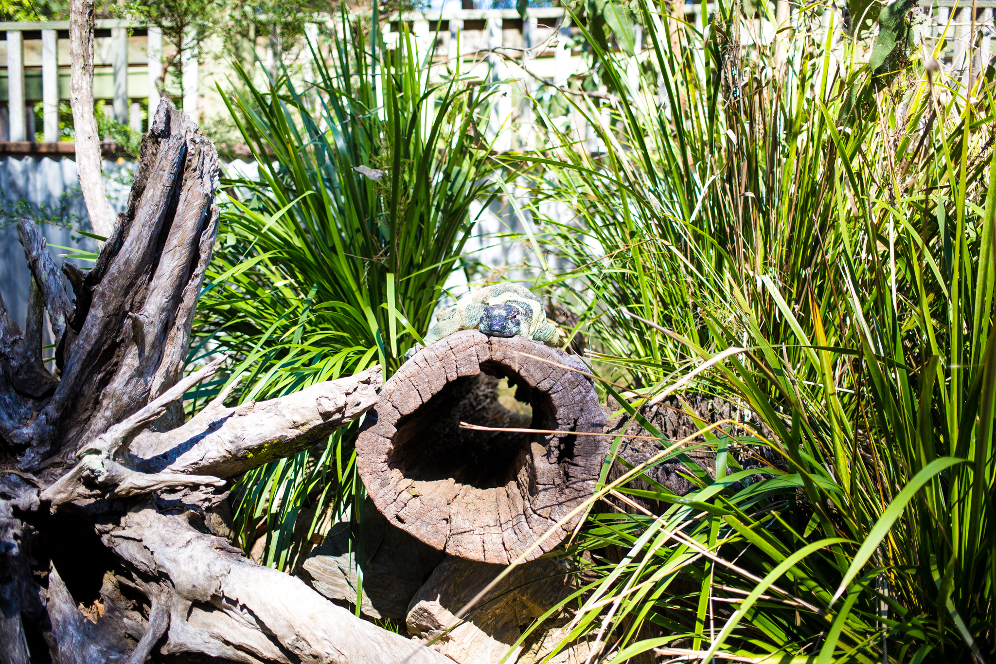 UntappedMedia-Aus2018-brisbane_AI9A4662_lo.jpg