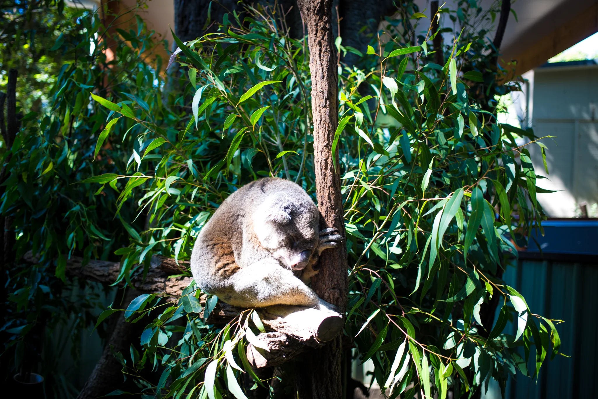 UntappedMedia-Aus2018-brisbane_AI9A4660_lo.jpg
