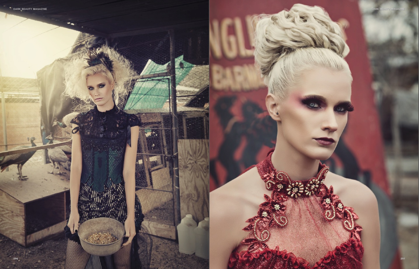 Dark Beauty Circus 2 copy.jpg