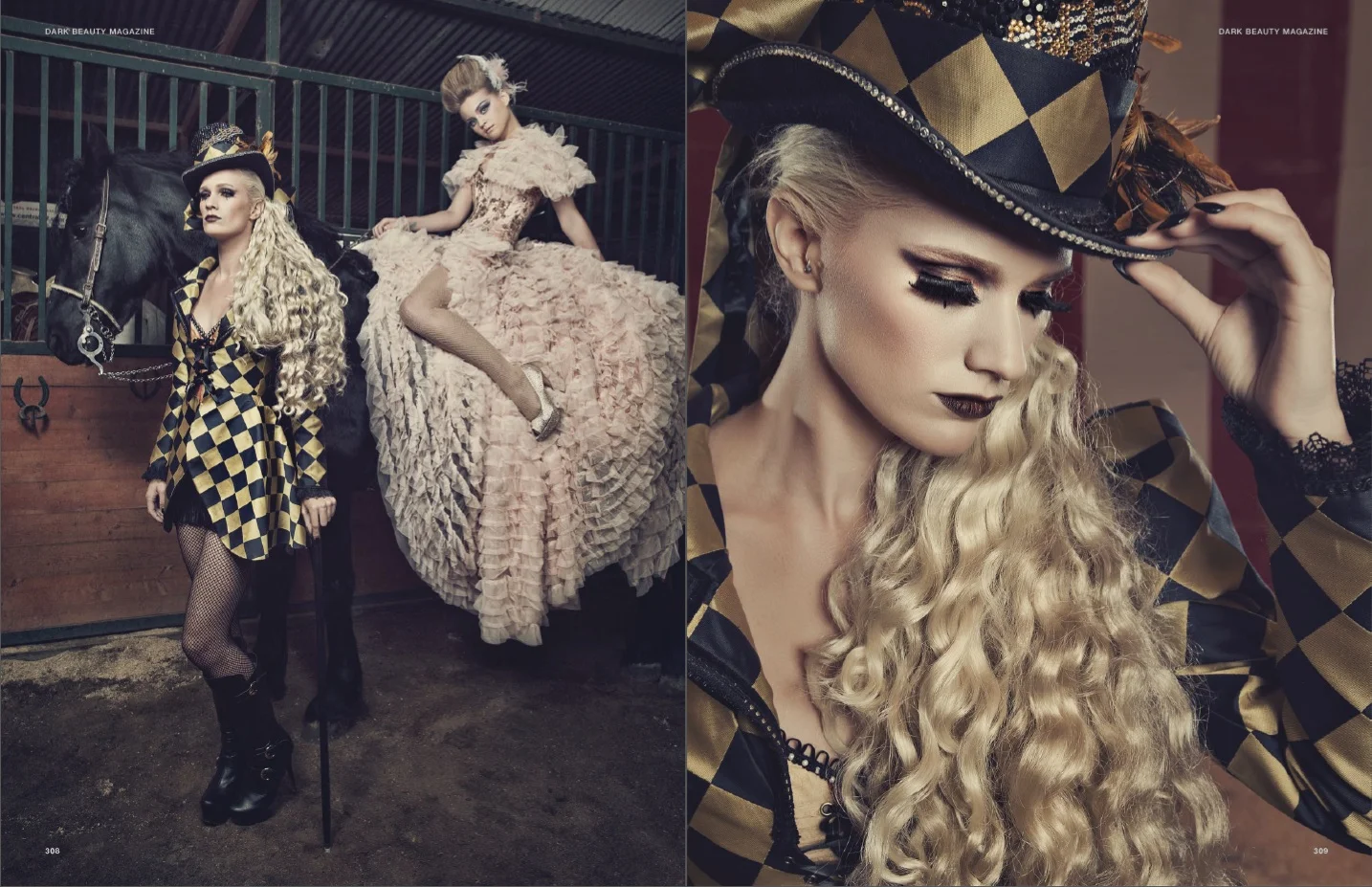Dark Beauty Circus 8 copy.jpg