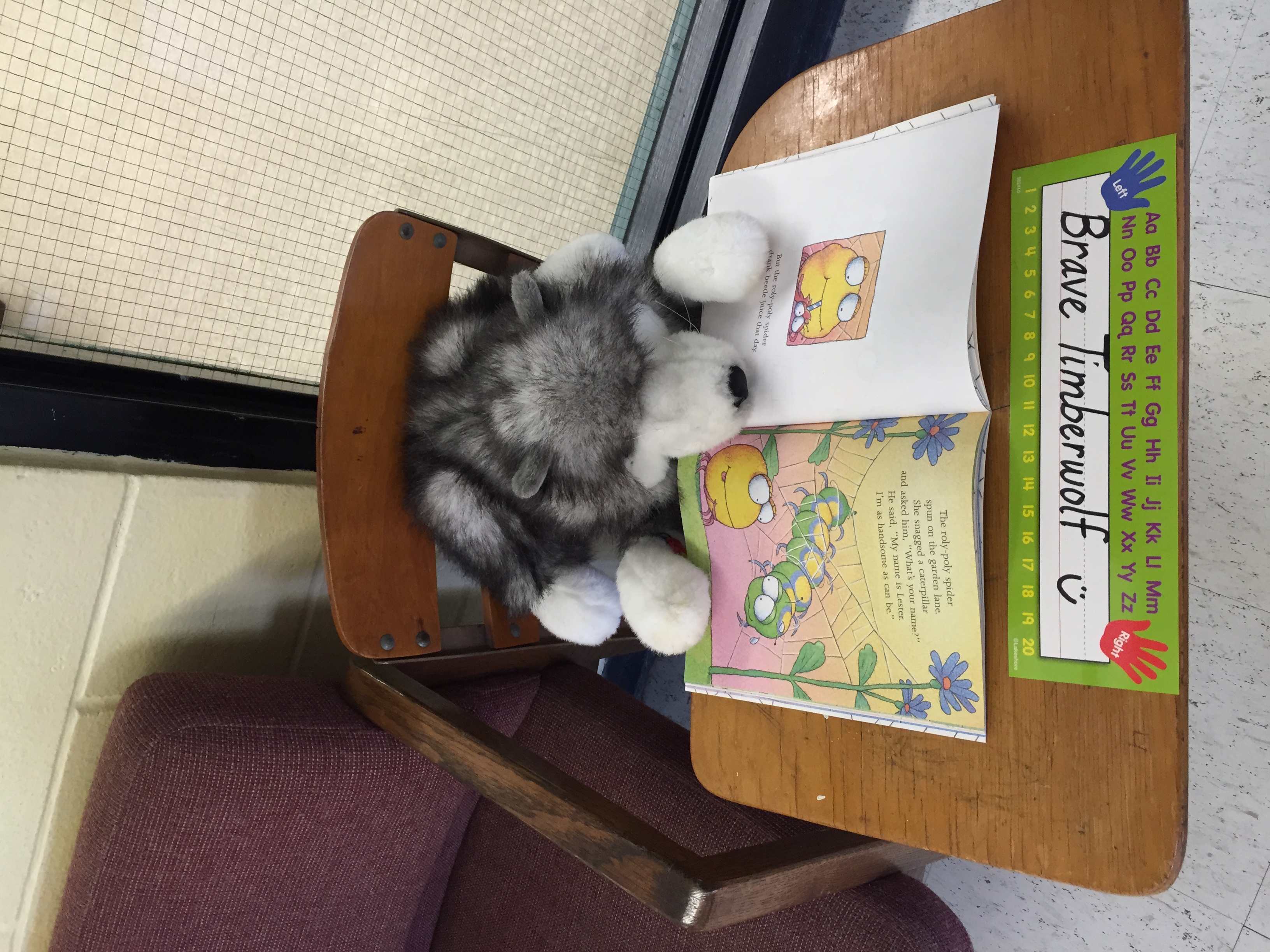 Brave Timberwolf always learning