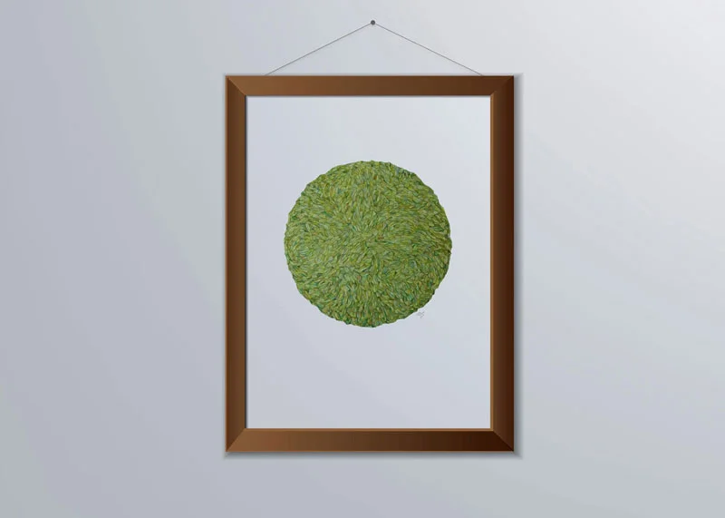Circomplex-4-Green-244mm-800px.jpg