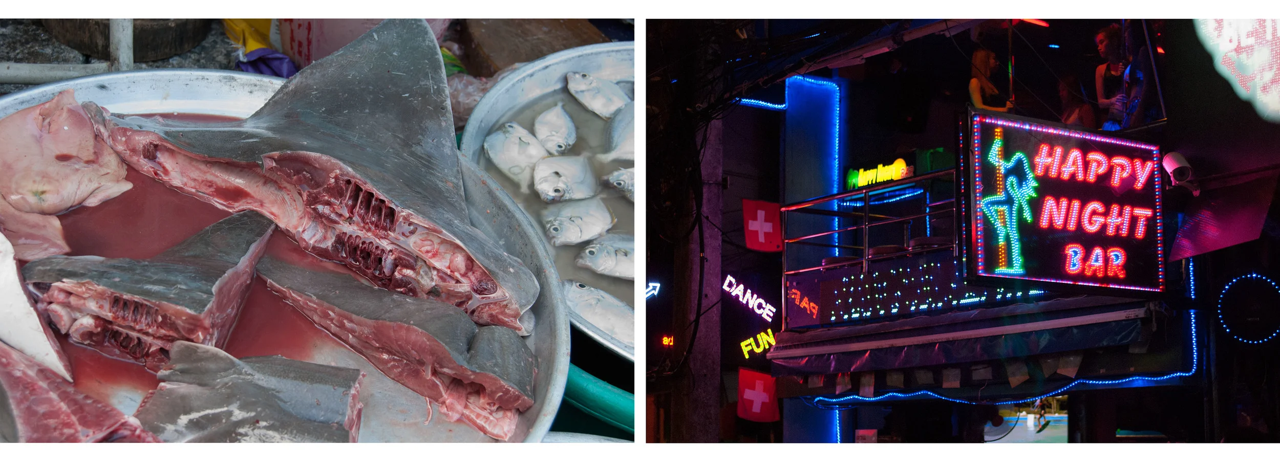 SS Portfolio Diptych Landscape 2.jpg