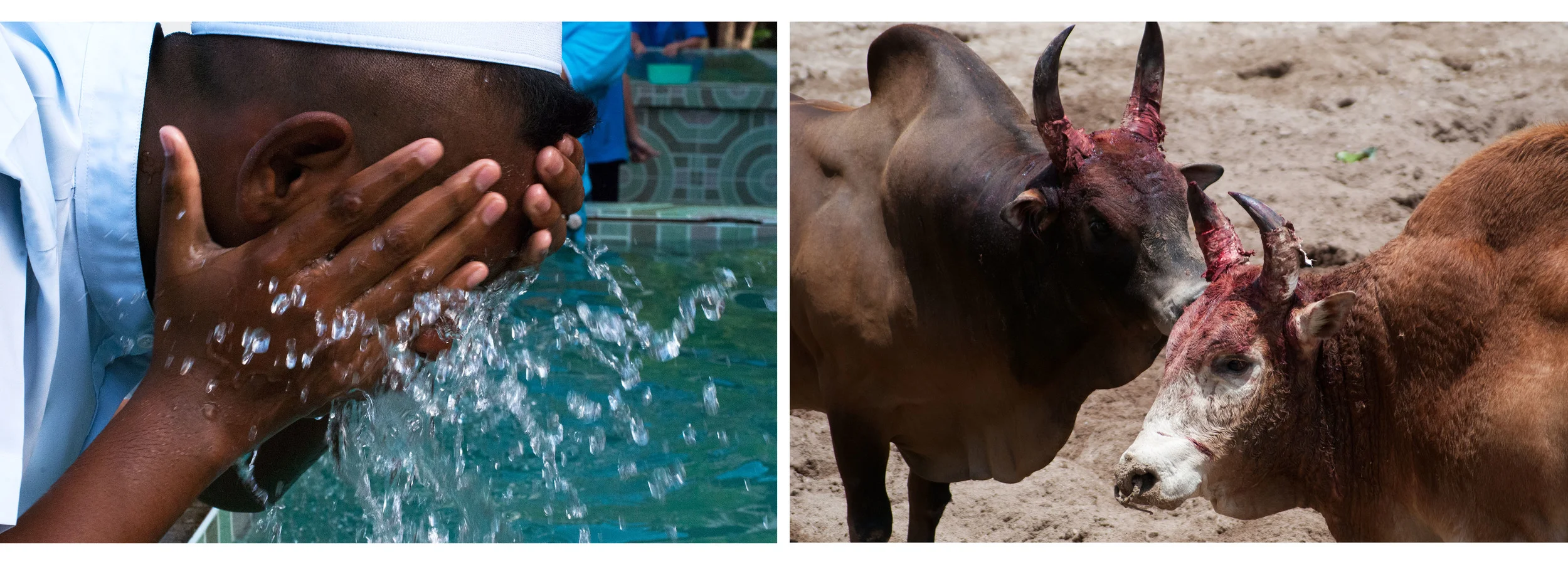 SS Portfolio Diptych Landscape 3.jpg