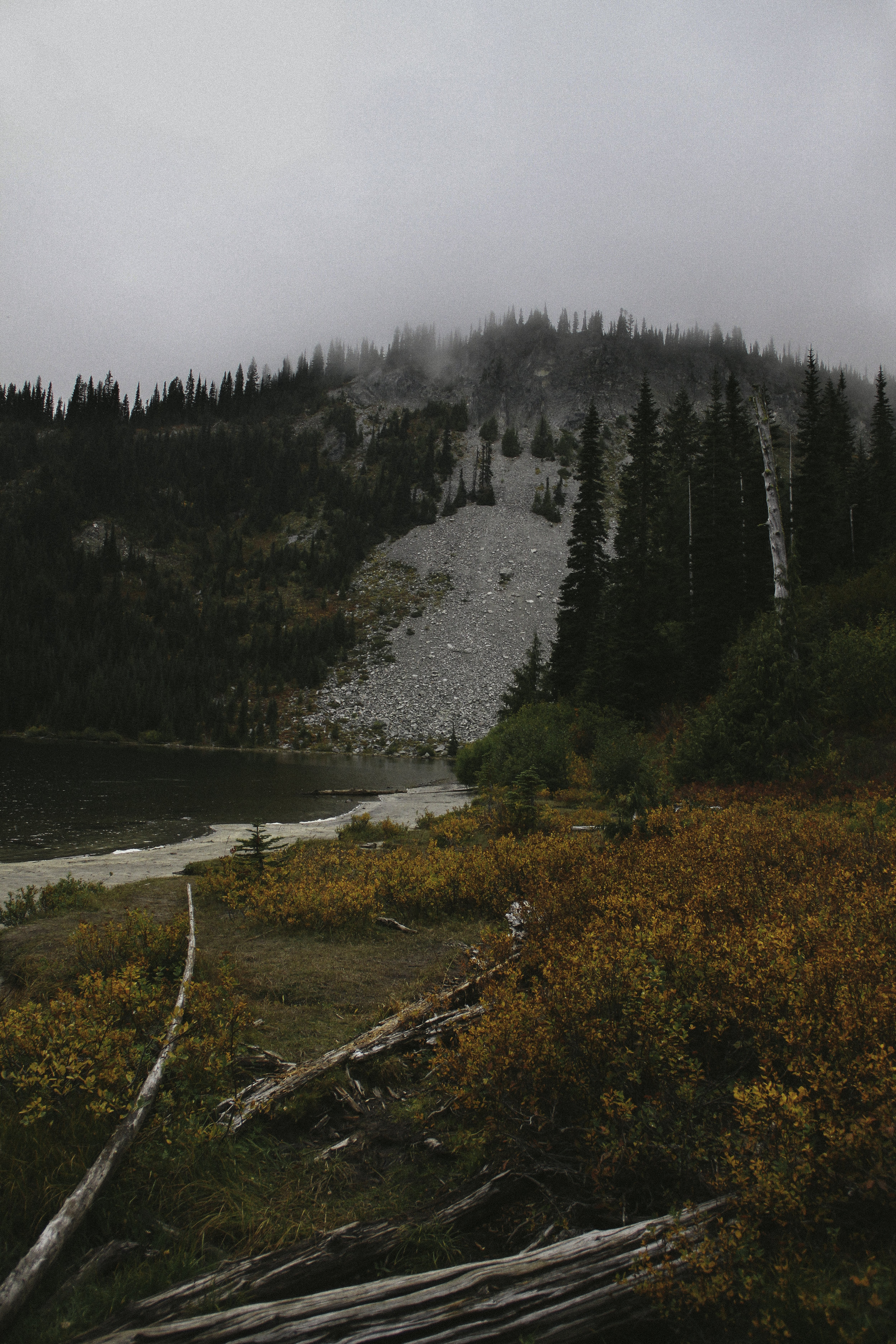 Mount Rainier National Forest, WA - 2016