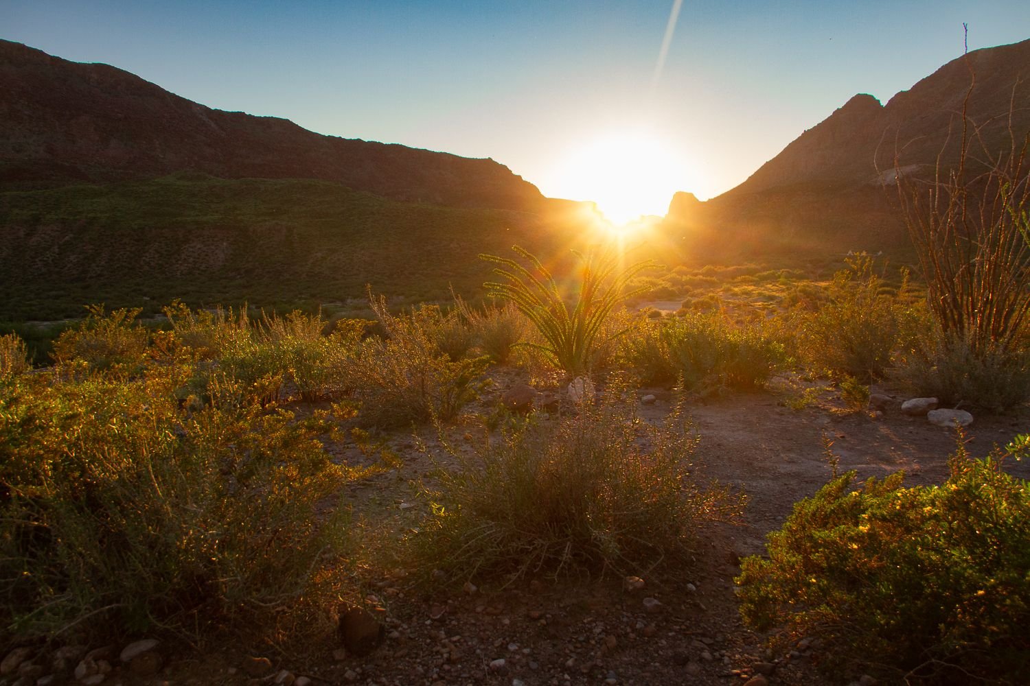 Big Bend Ranch State Park, TX - 2022