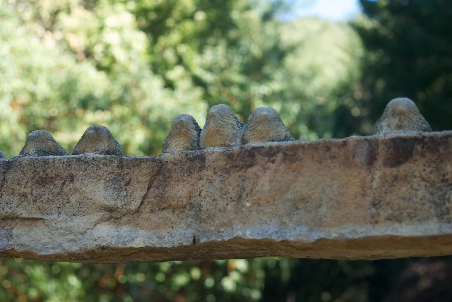 Hatch (detail)