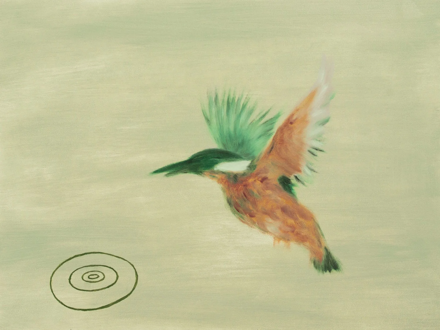 Kingfisher