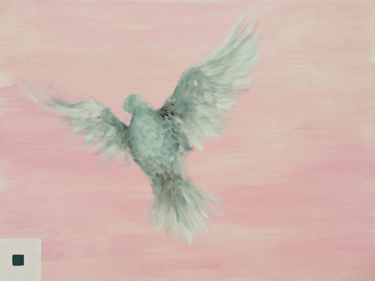 Dove