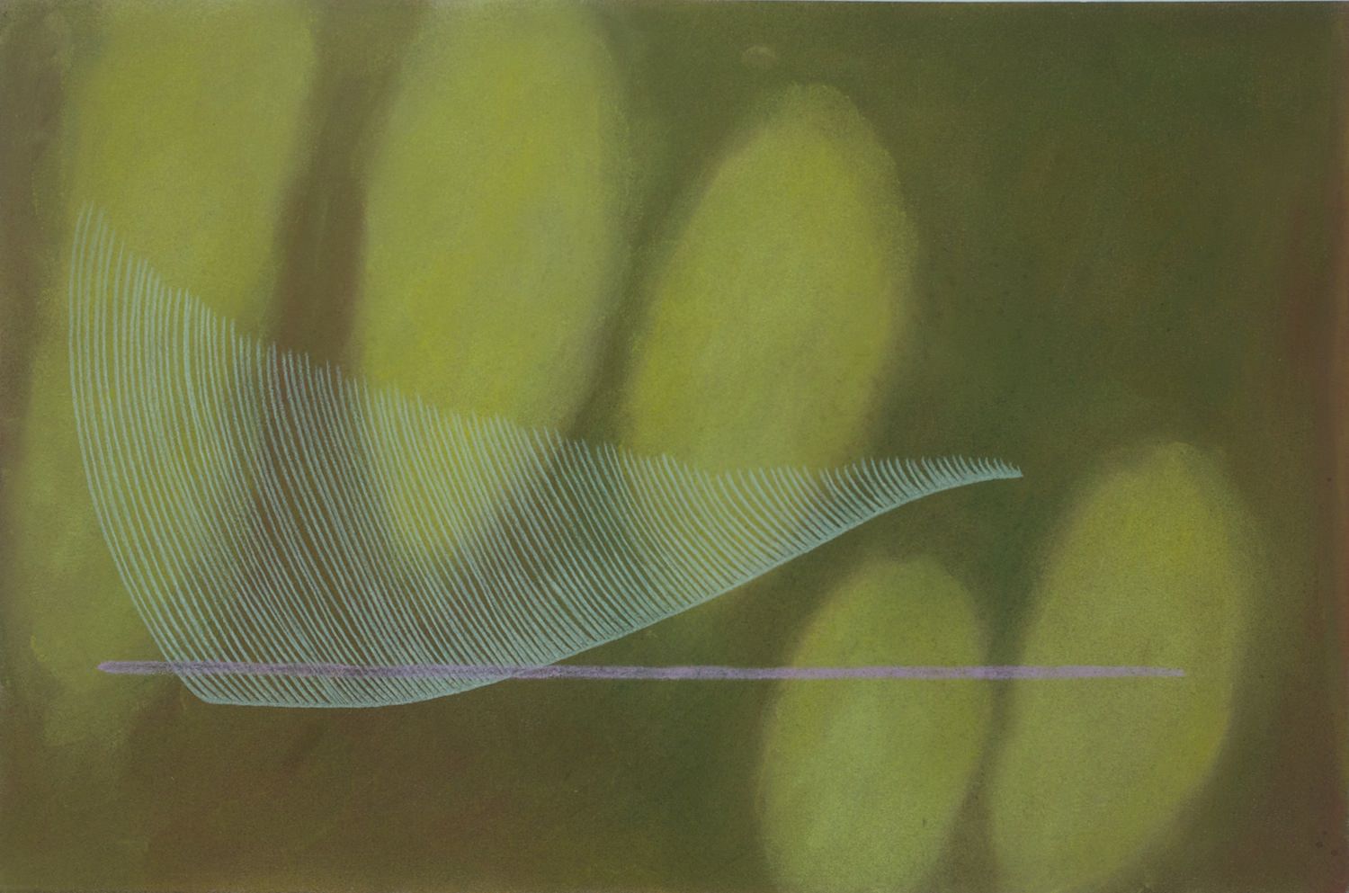 Cactus Wave