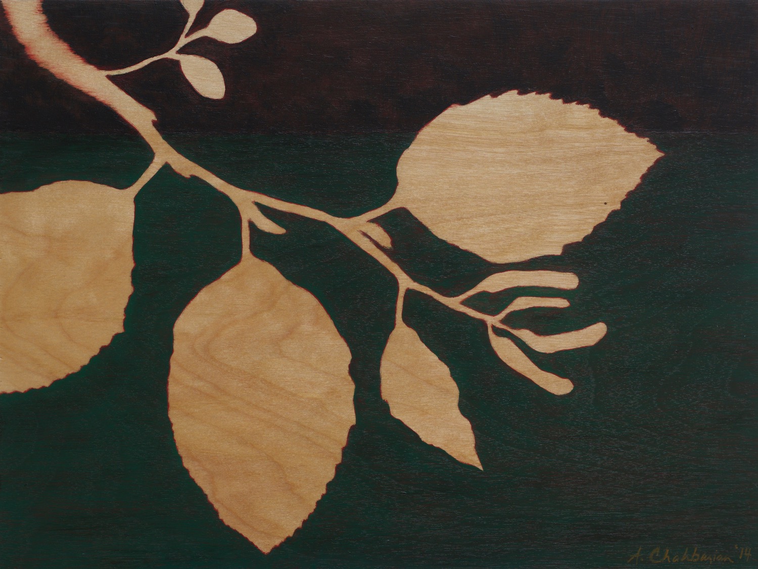 Alder
