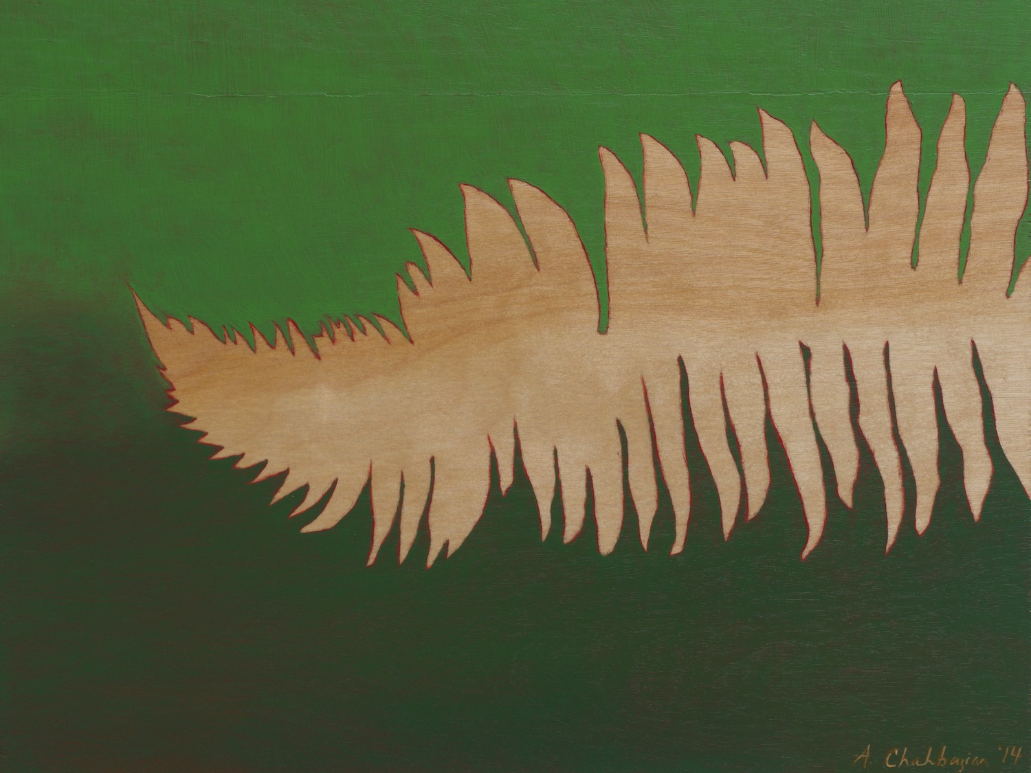 Fern