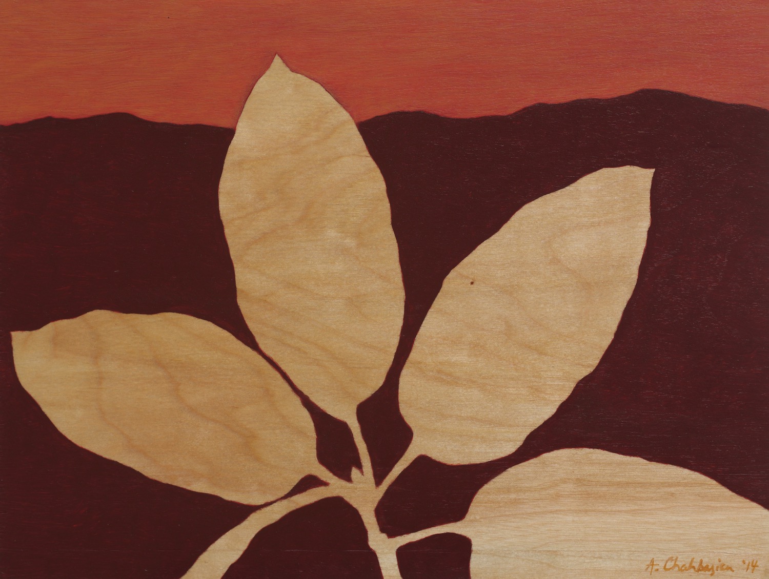 Madrone