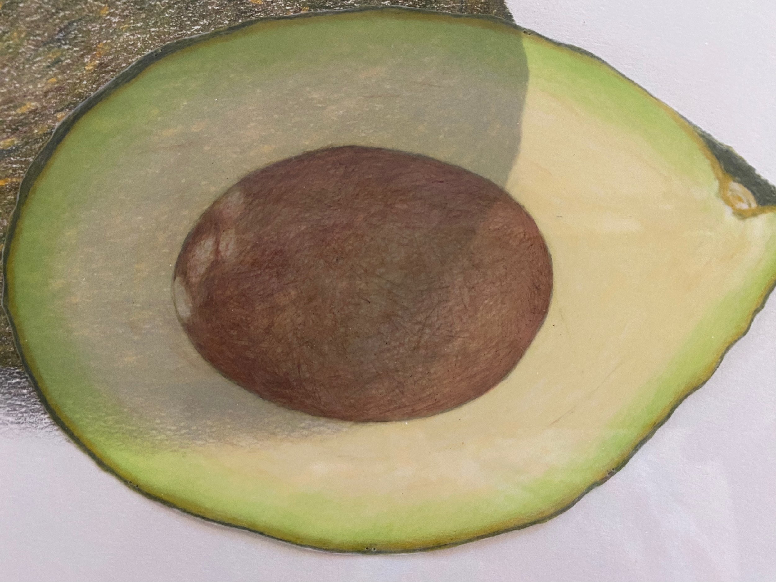 Avocado detail.jpeg