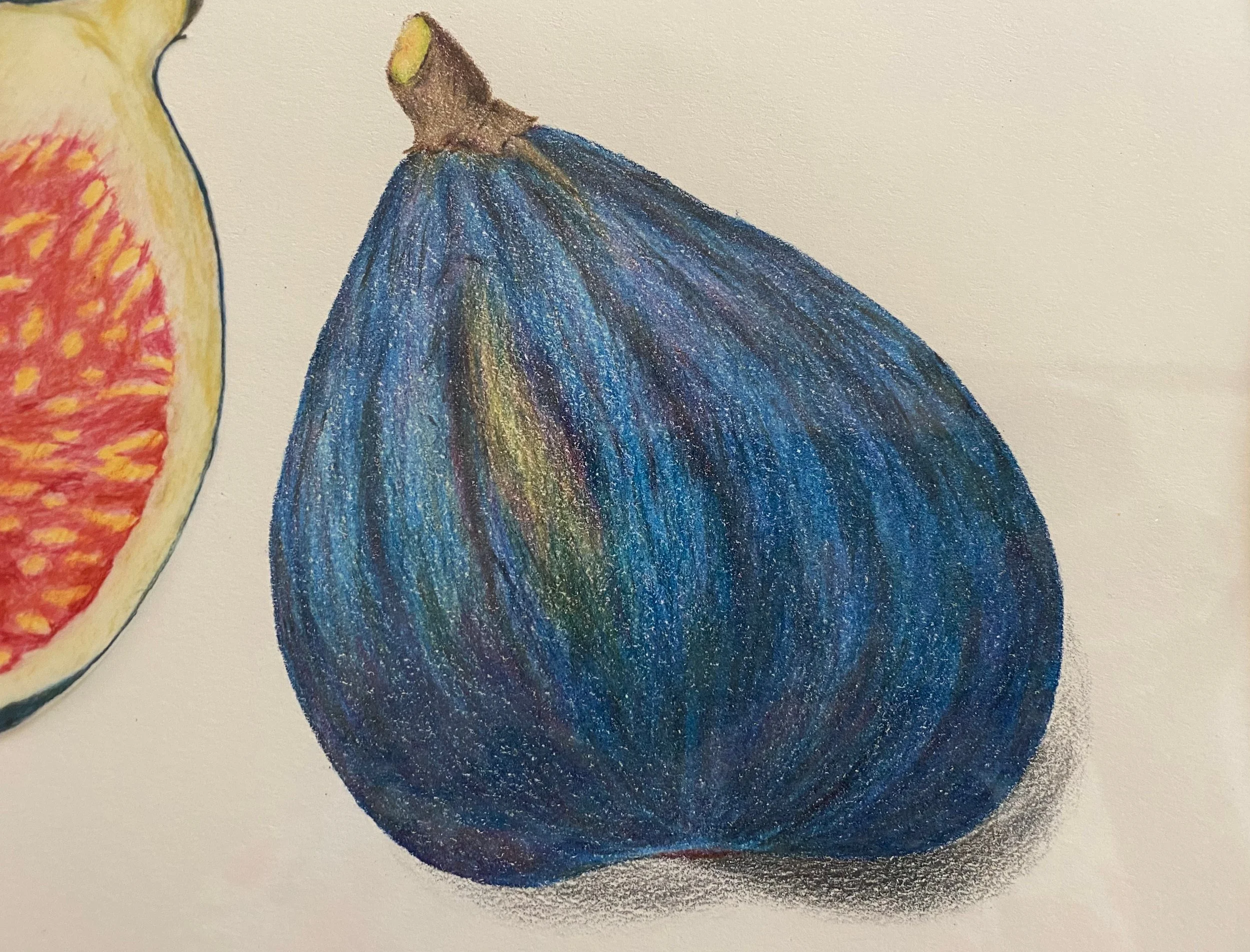 Fig detail 1.jpeg