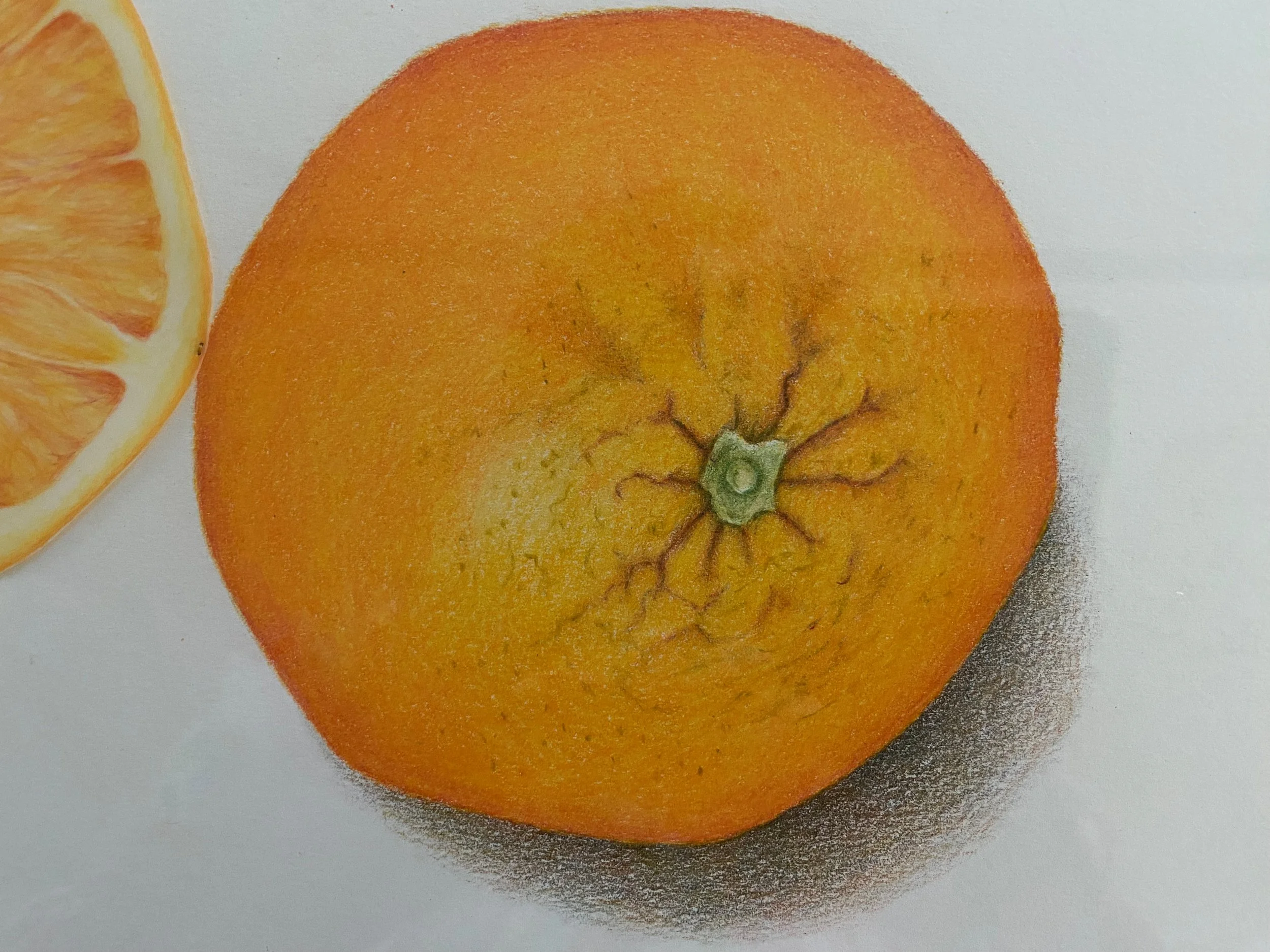 Orange detail 1.jpeg