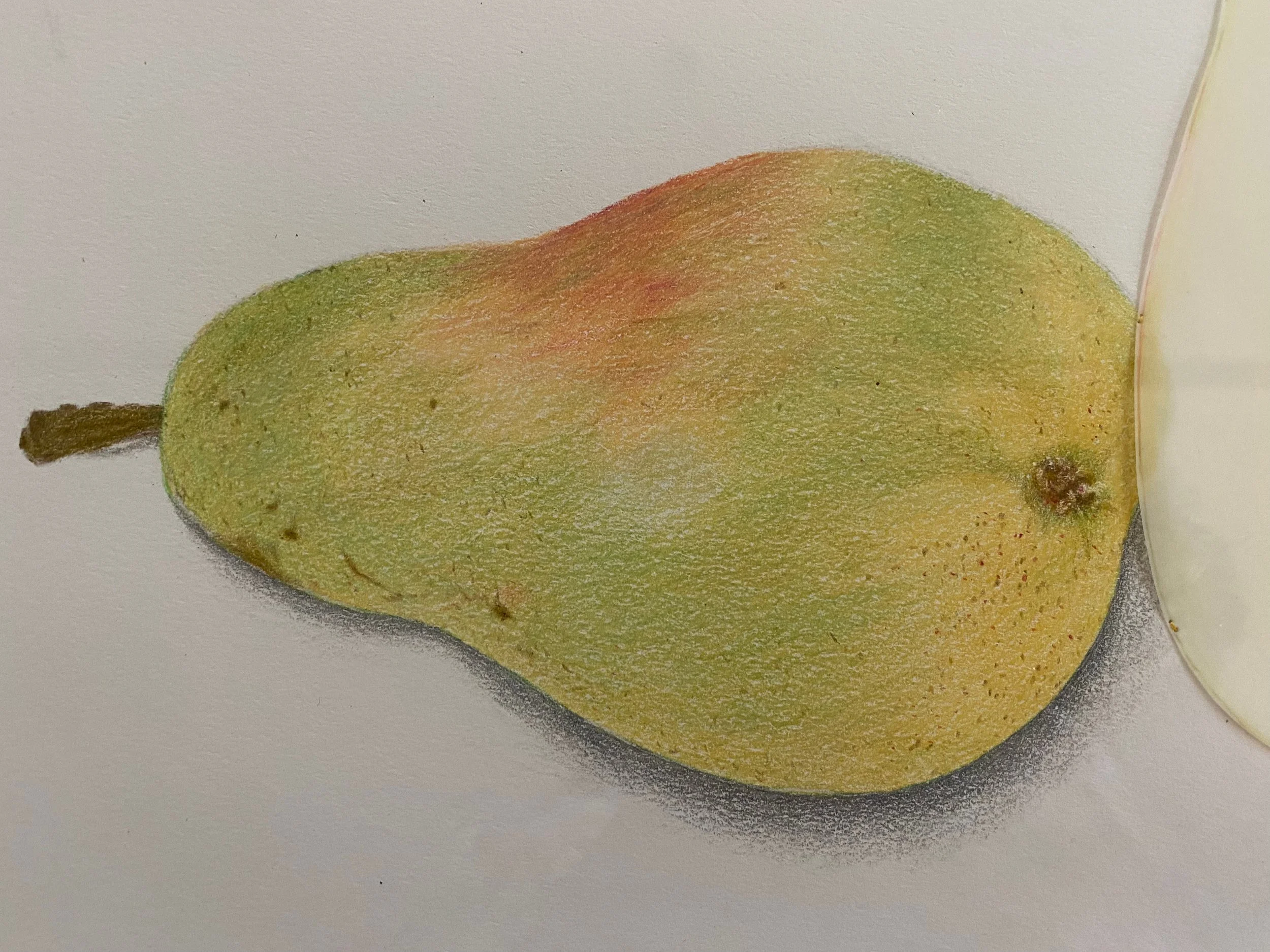 Pear detail 1.jpeg