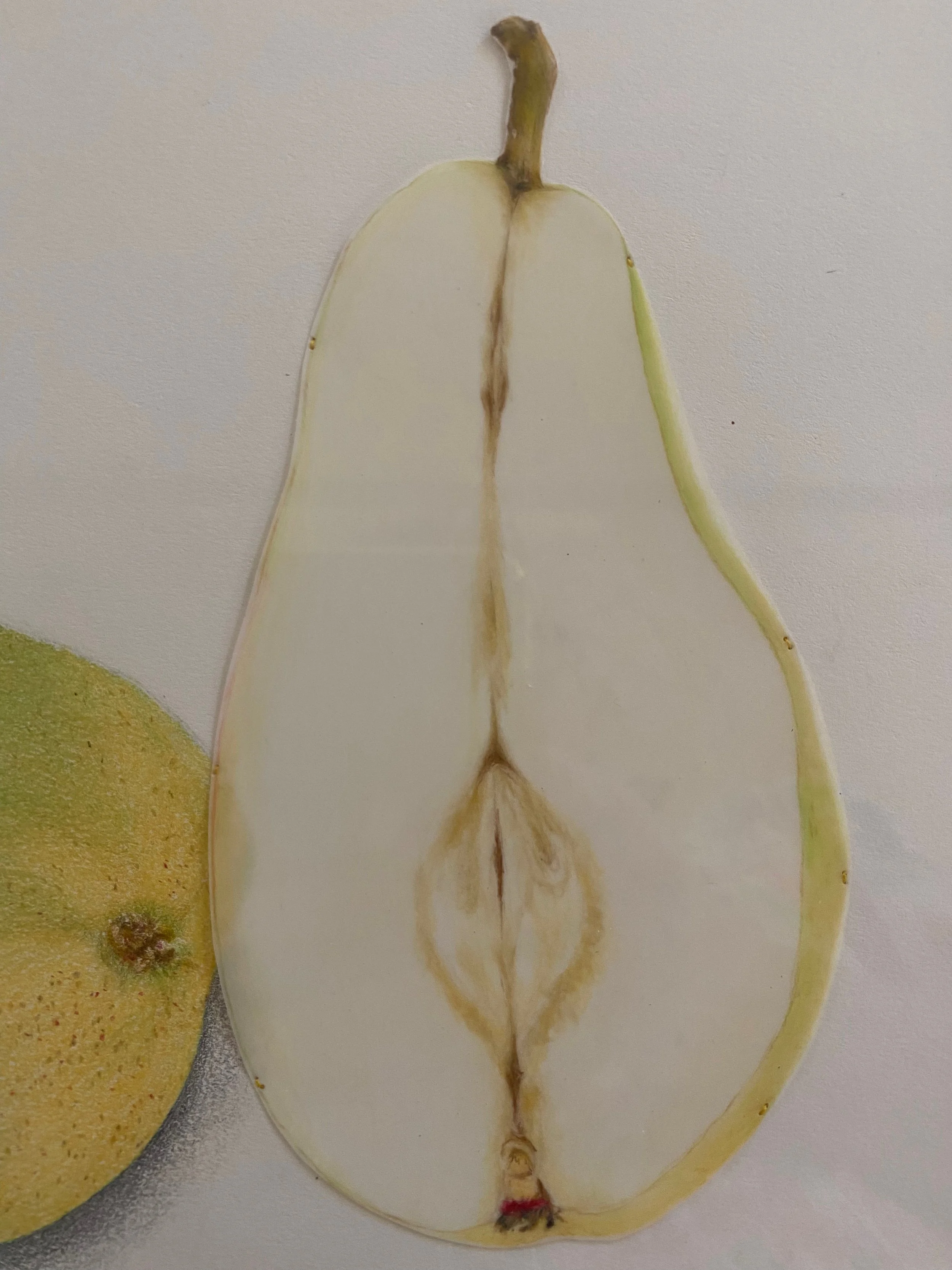 Pear detail 2.jpeg