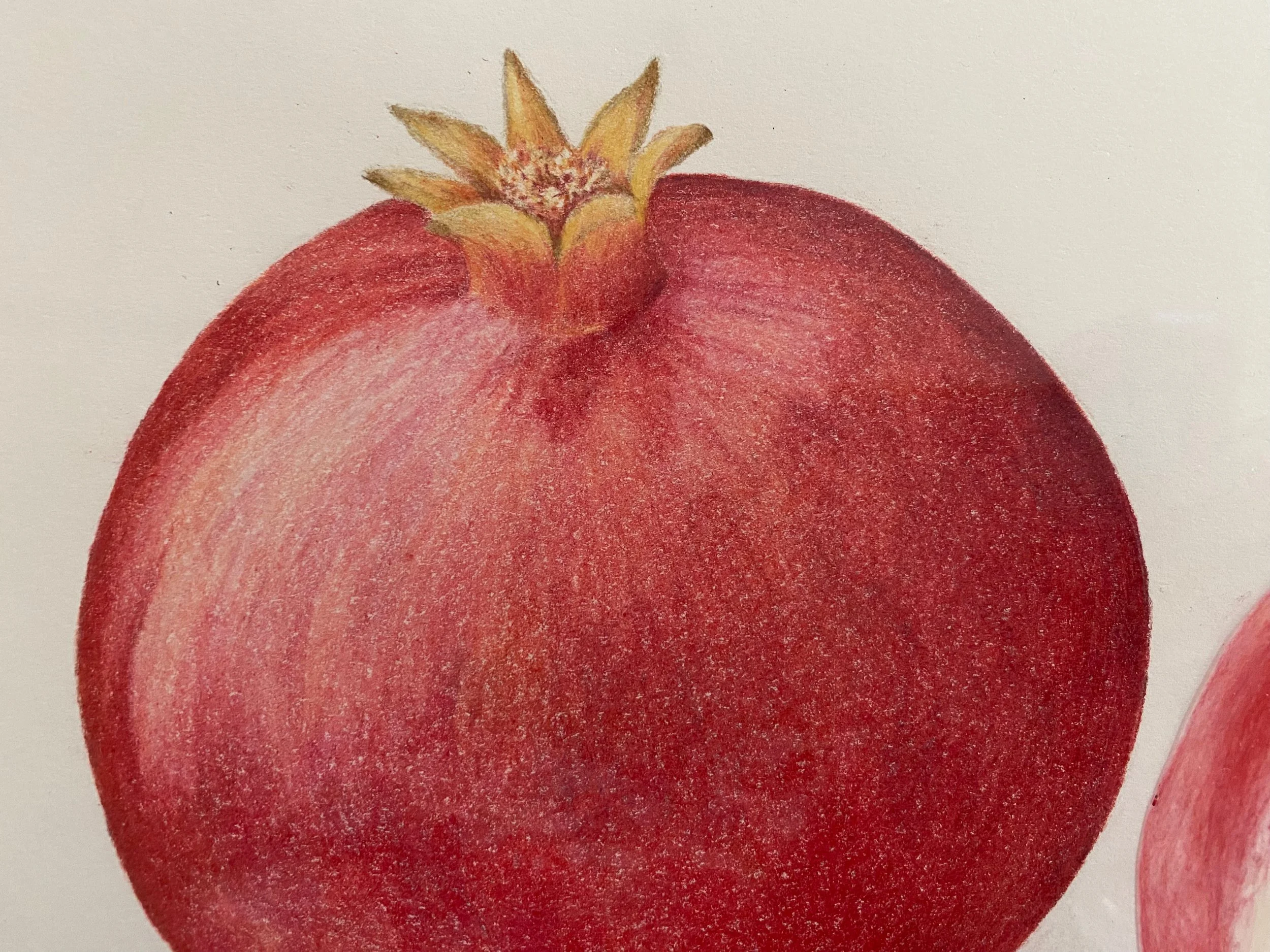 Pomegranate detail 1.jpeg