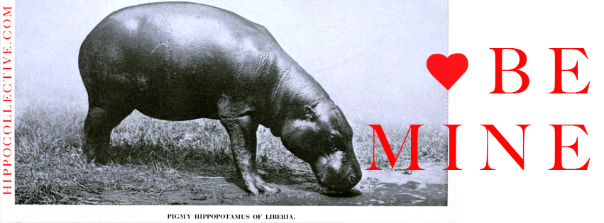 HippoCover2withURL.png