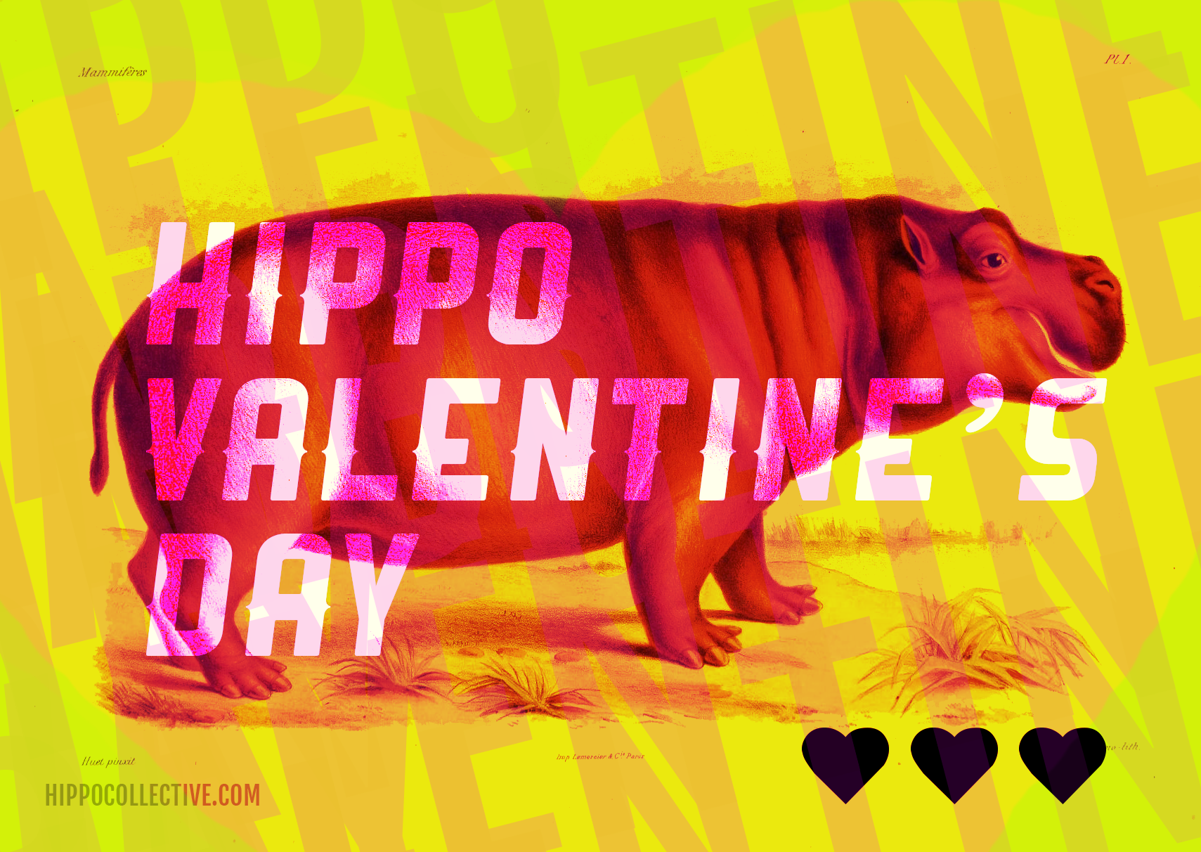 Hippo Valentine E-cards!