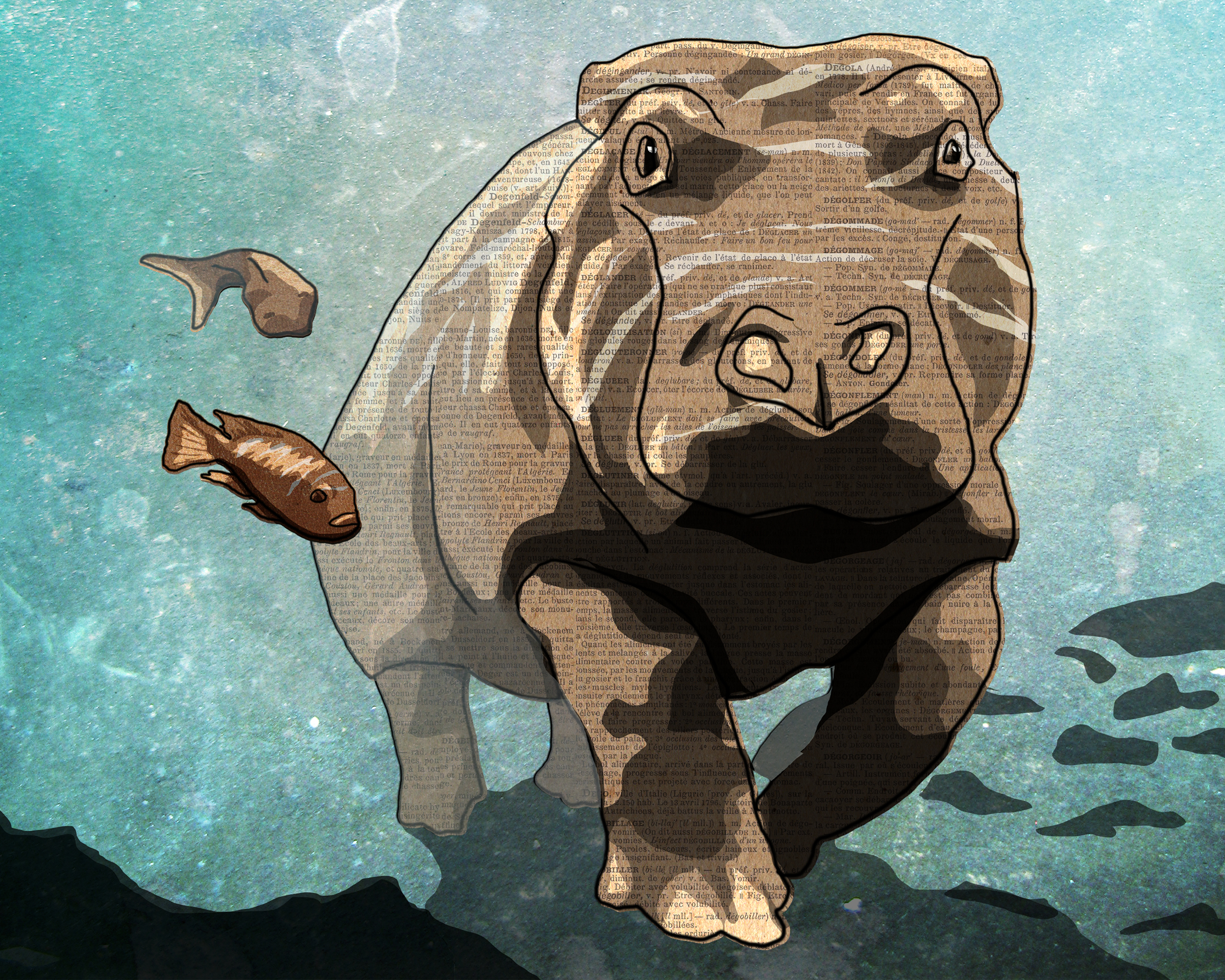 The Pursuit of Hippo-ness