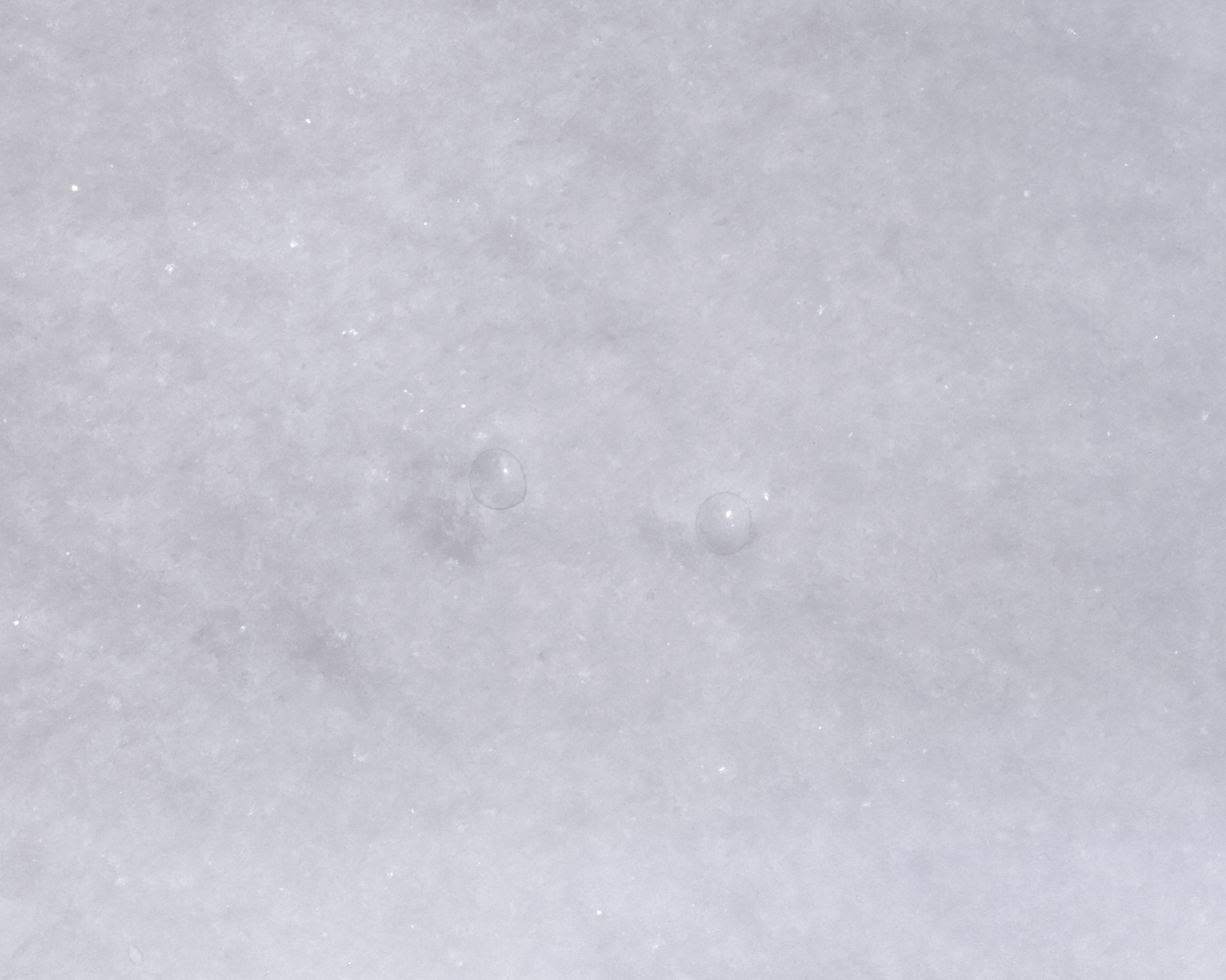 title variable (lenses, snow)