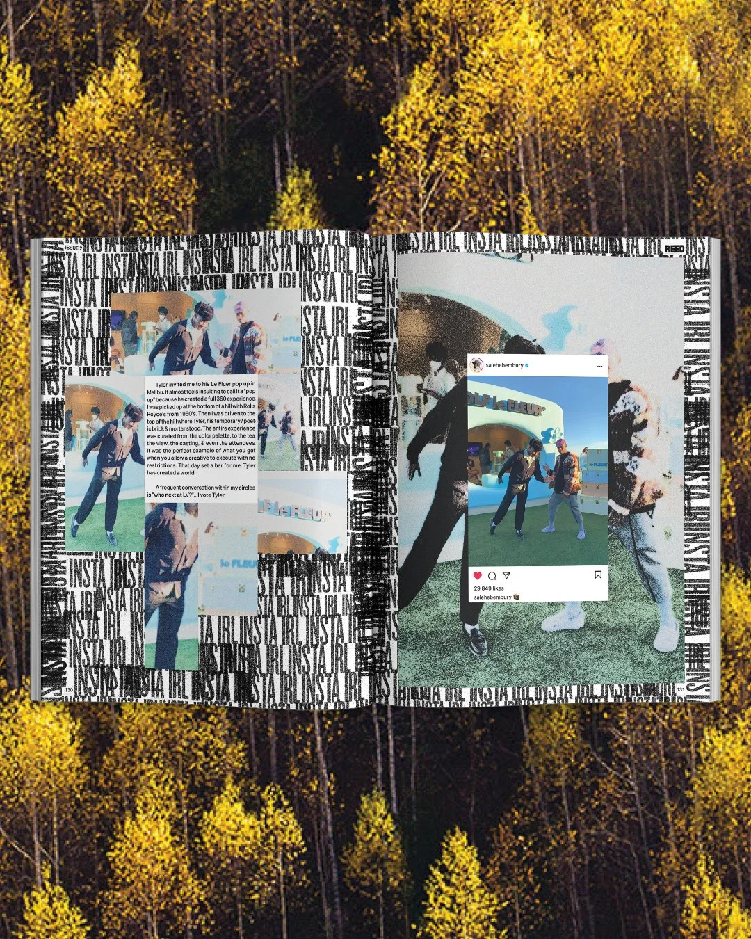 REED_MAG_SPREAD9.jpg
