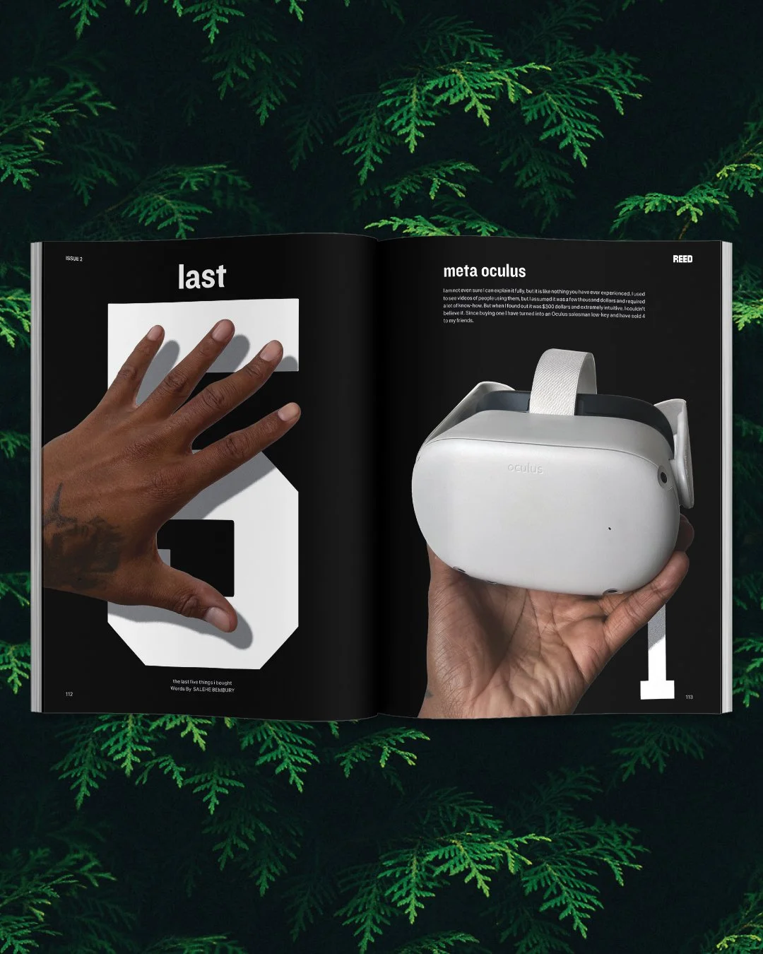 REED_MAG_SPREAD7.jpg