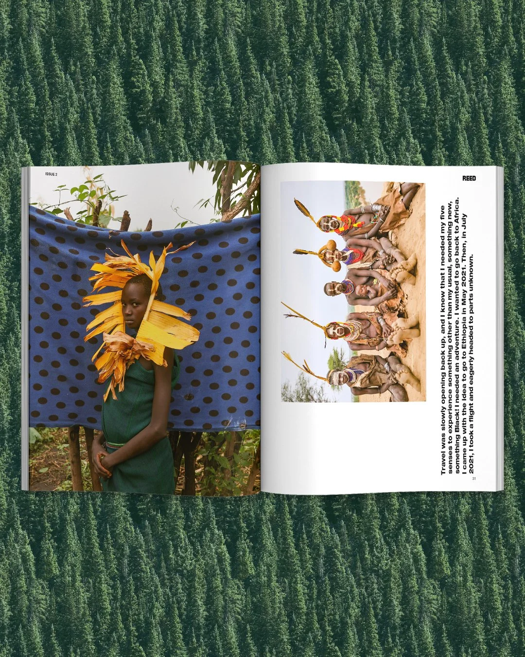 REED_MAG_SPREAD2.jpg