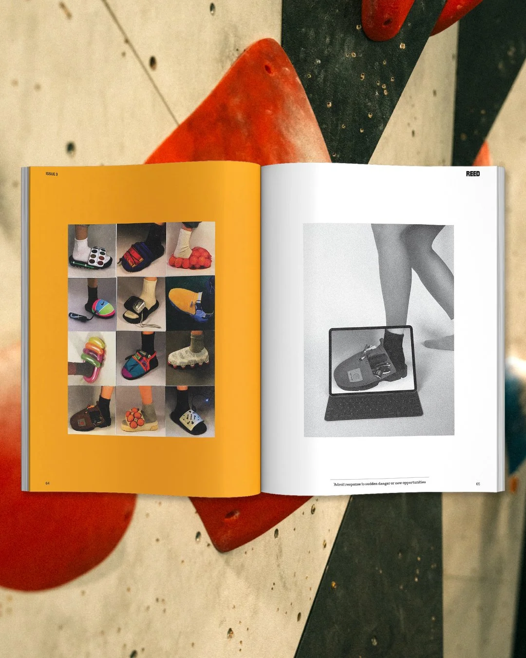 8.REED_MAG_SPREAD.jpg